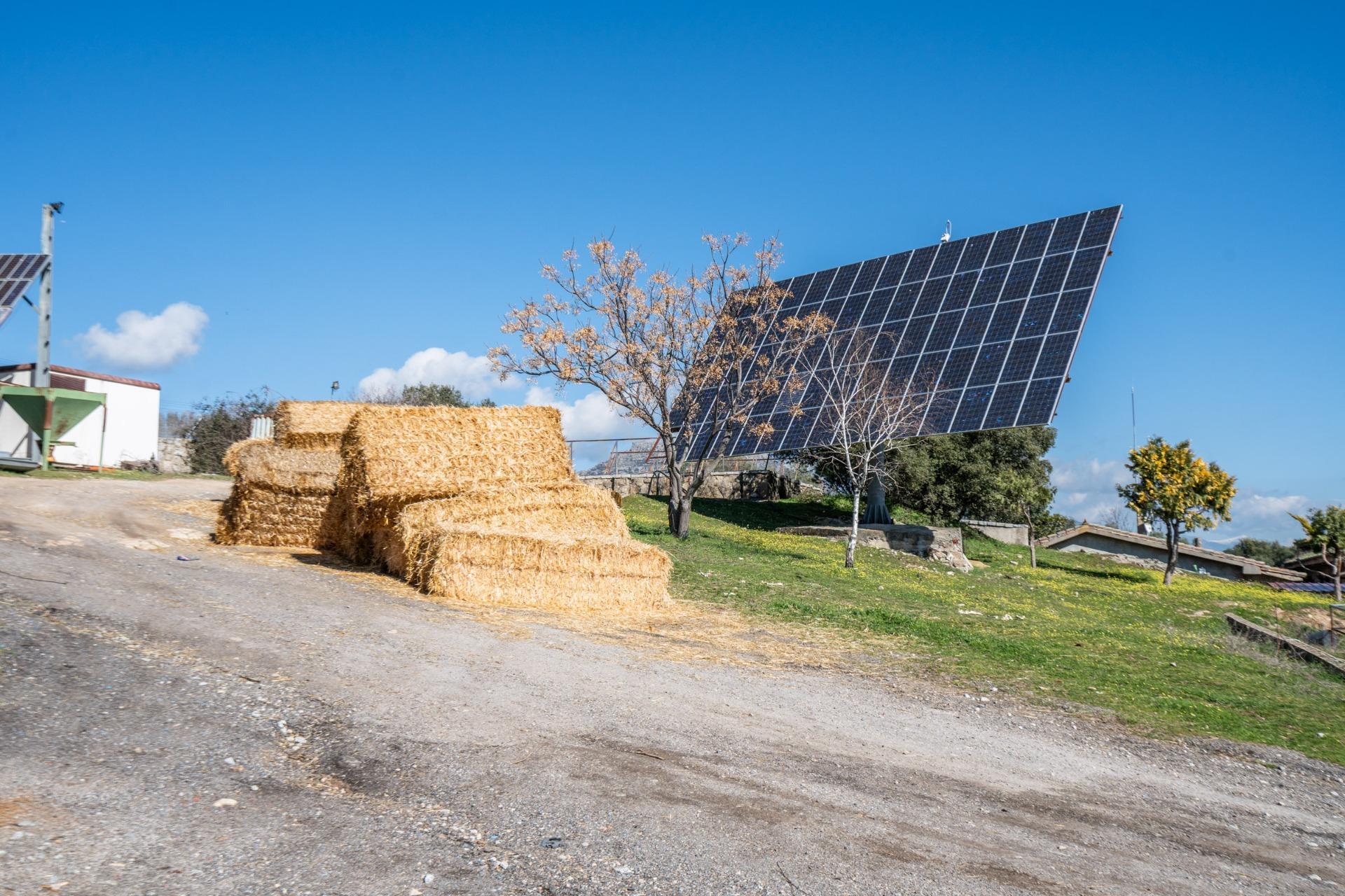 Fincas y solares-Venta-Robledo de Chavela-2173650-Foto-81