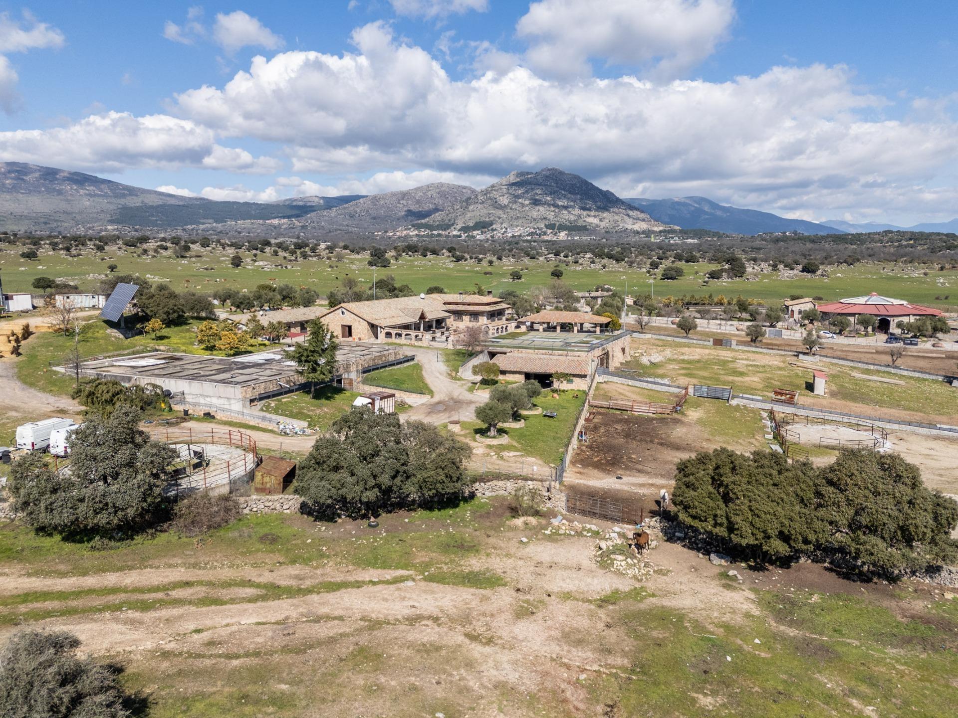 Fincas y solares-Venta-Robledo de Chavela-2173650-Foto-87