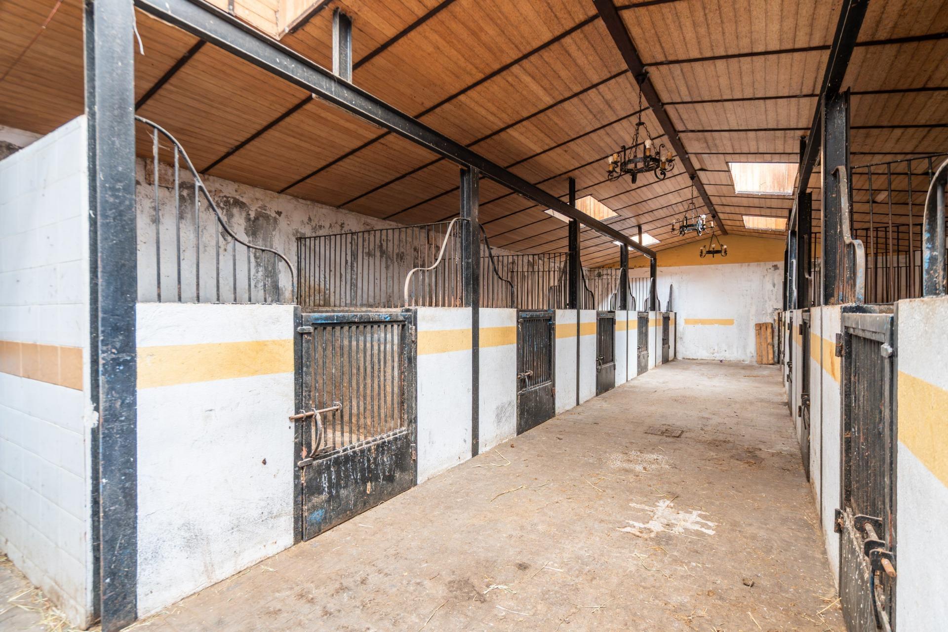 Fincas y solares-Venta-Robledo de Chavela-2173650-Foto-91