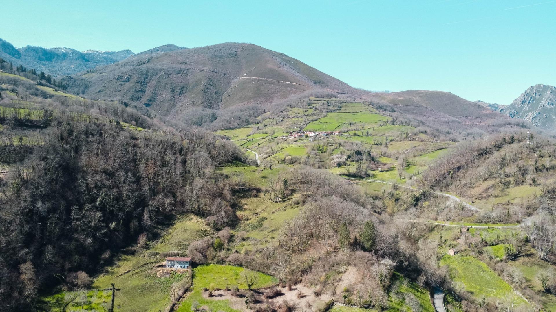 Casas o chalets-Venta-QuirÃ³s-2173653-Foto-52