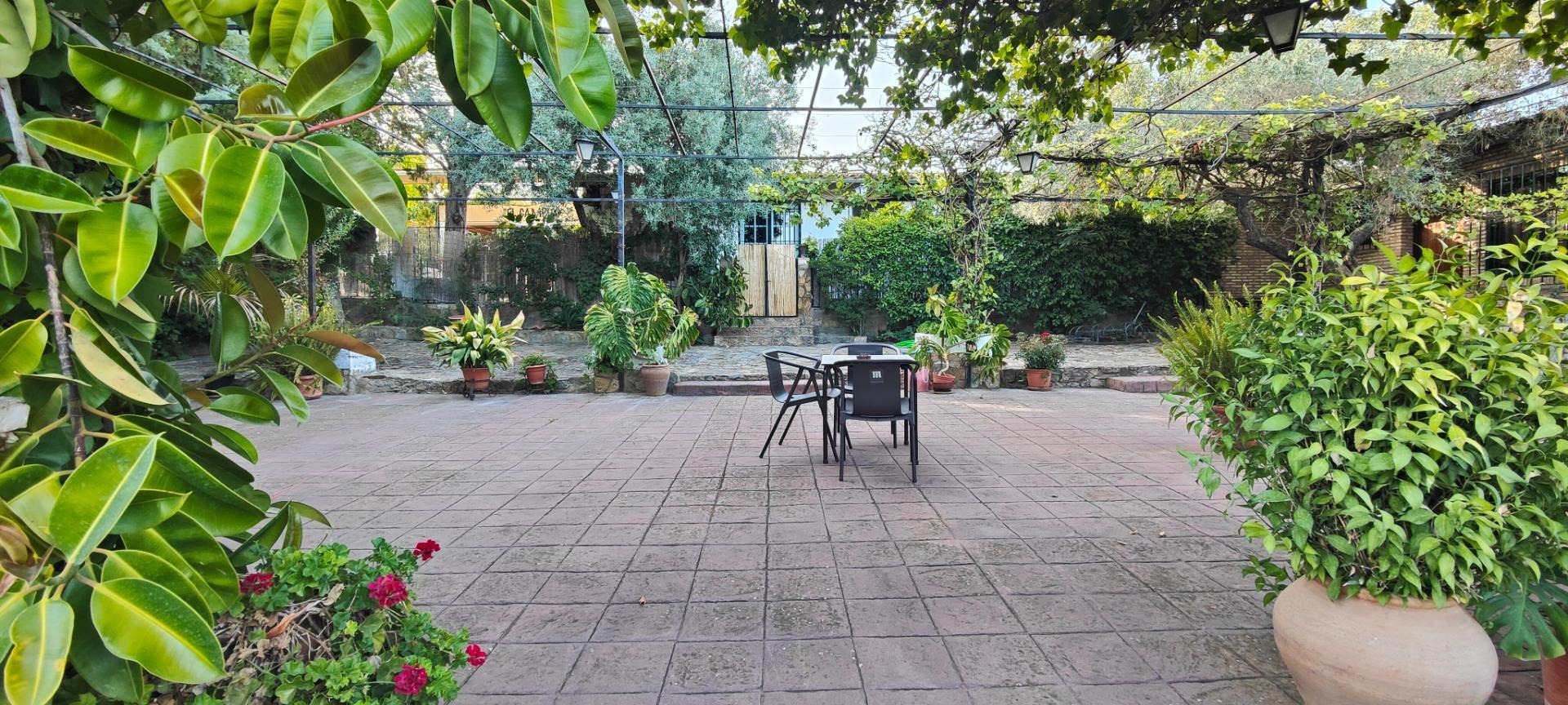 Edificios-Venta-Zafra-2173662-Foto-35