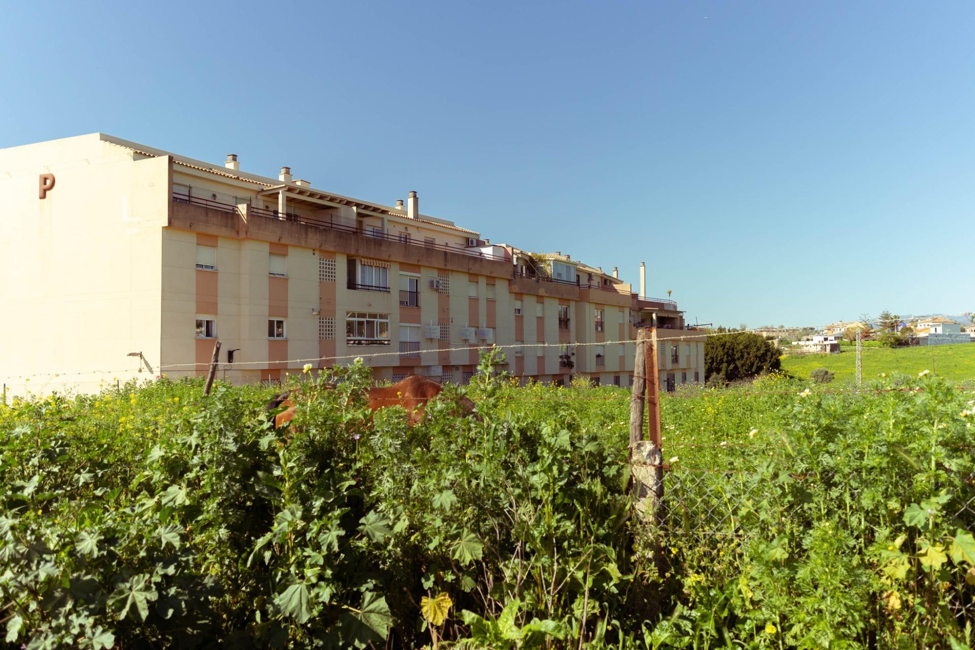 Pisos-Venta-Mijas-2173671-Foto-40