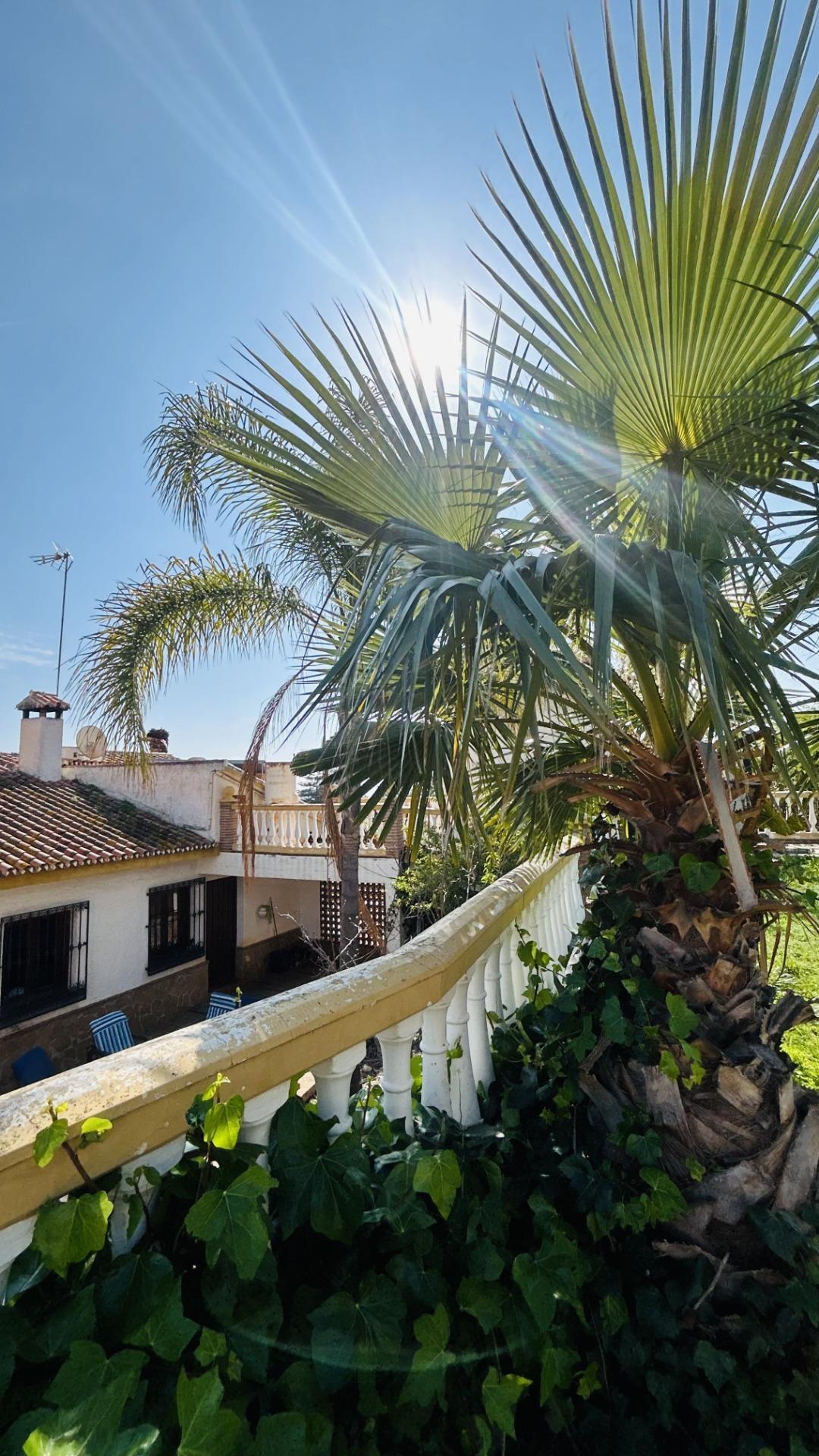 Casas o chalets-Venta-VÃ©lez-MÃ¡laga-2143018-Foto-9