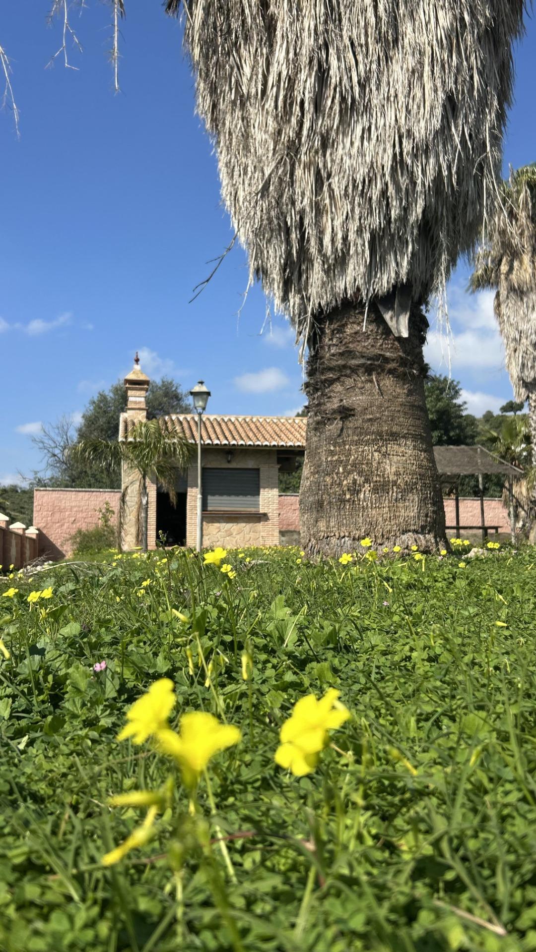 Casas o chalets-Venta-VÃ©lez-MÃ¡laga-2143018-Foto-22