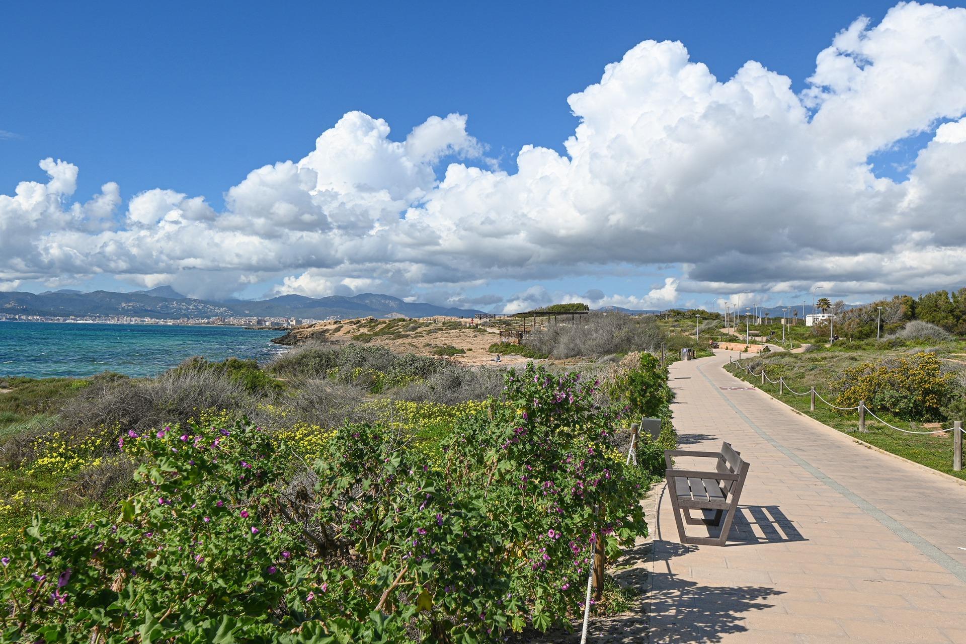 Pisos-Venta-Palma de Mallorca-2173674-Foto-23