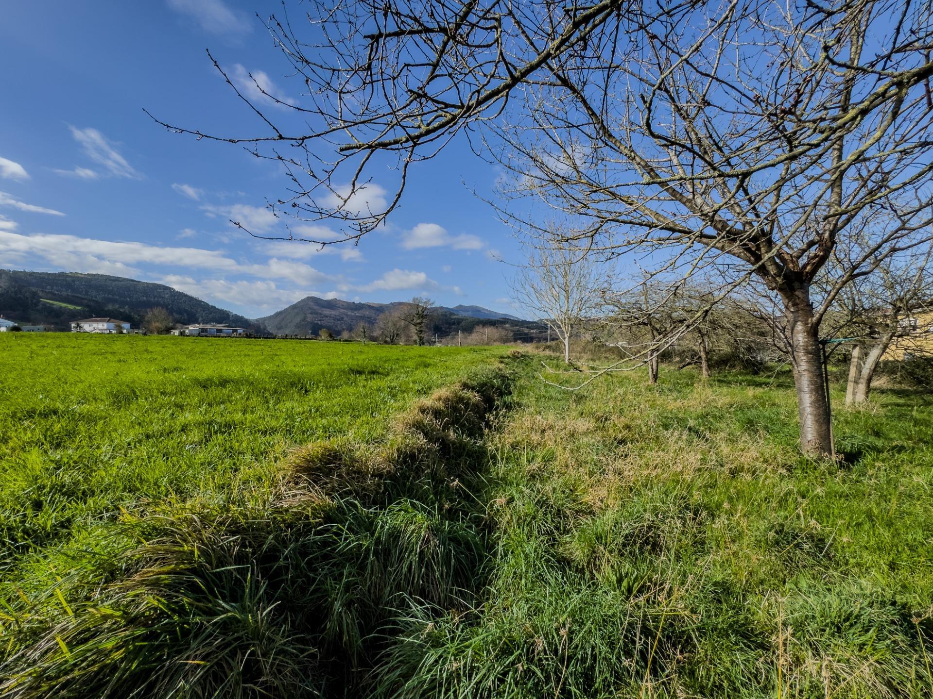 Casas o chalets-Venta-Santander-2173677-Foto-42