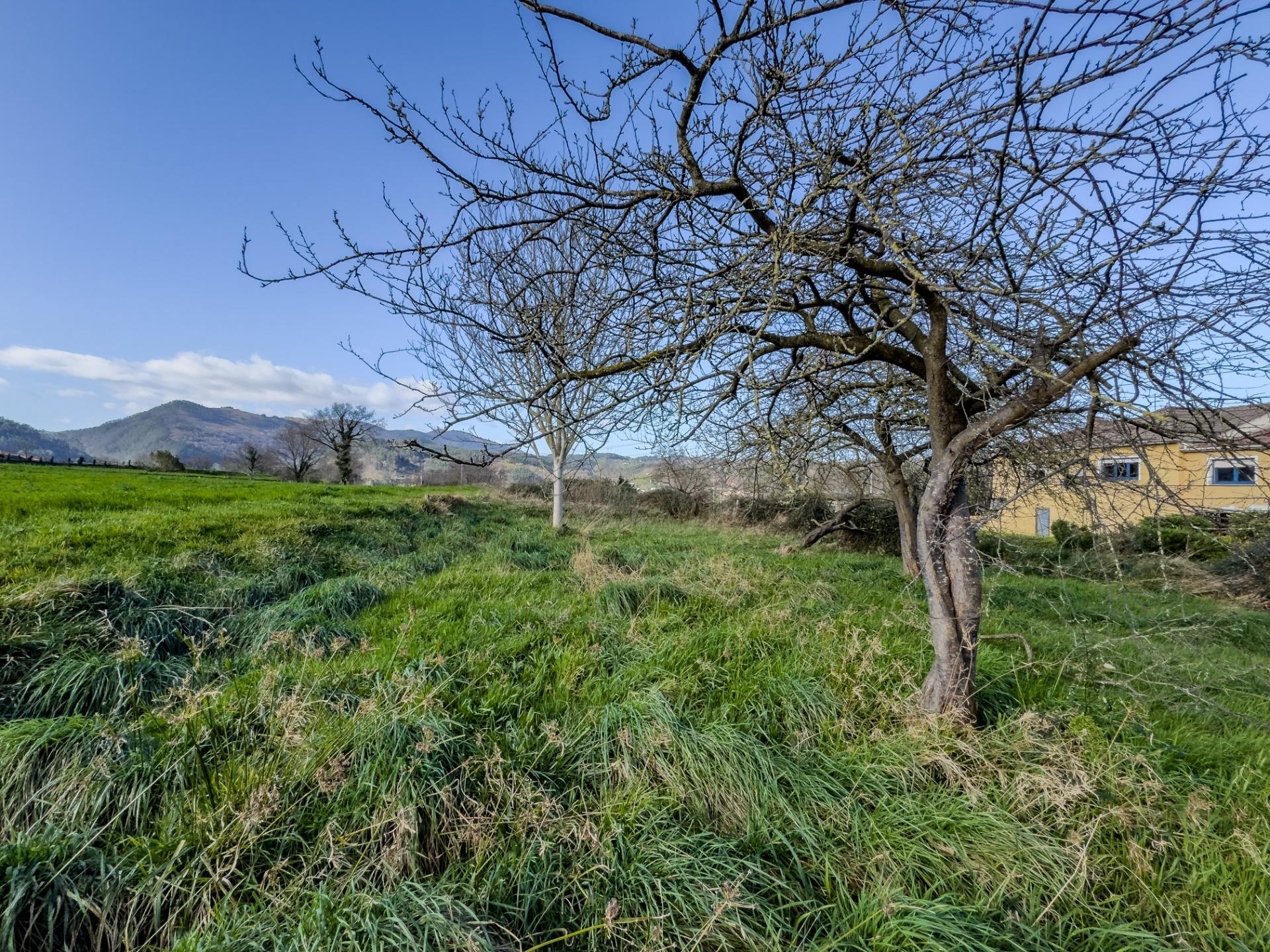 Casas o chalets-Venta-Santander-2173677-Foto-52