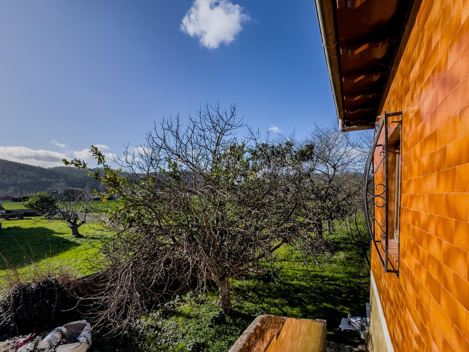 Casas o chalets-Venta-Santander-2173677-Foto-60