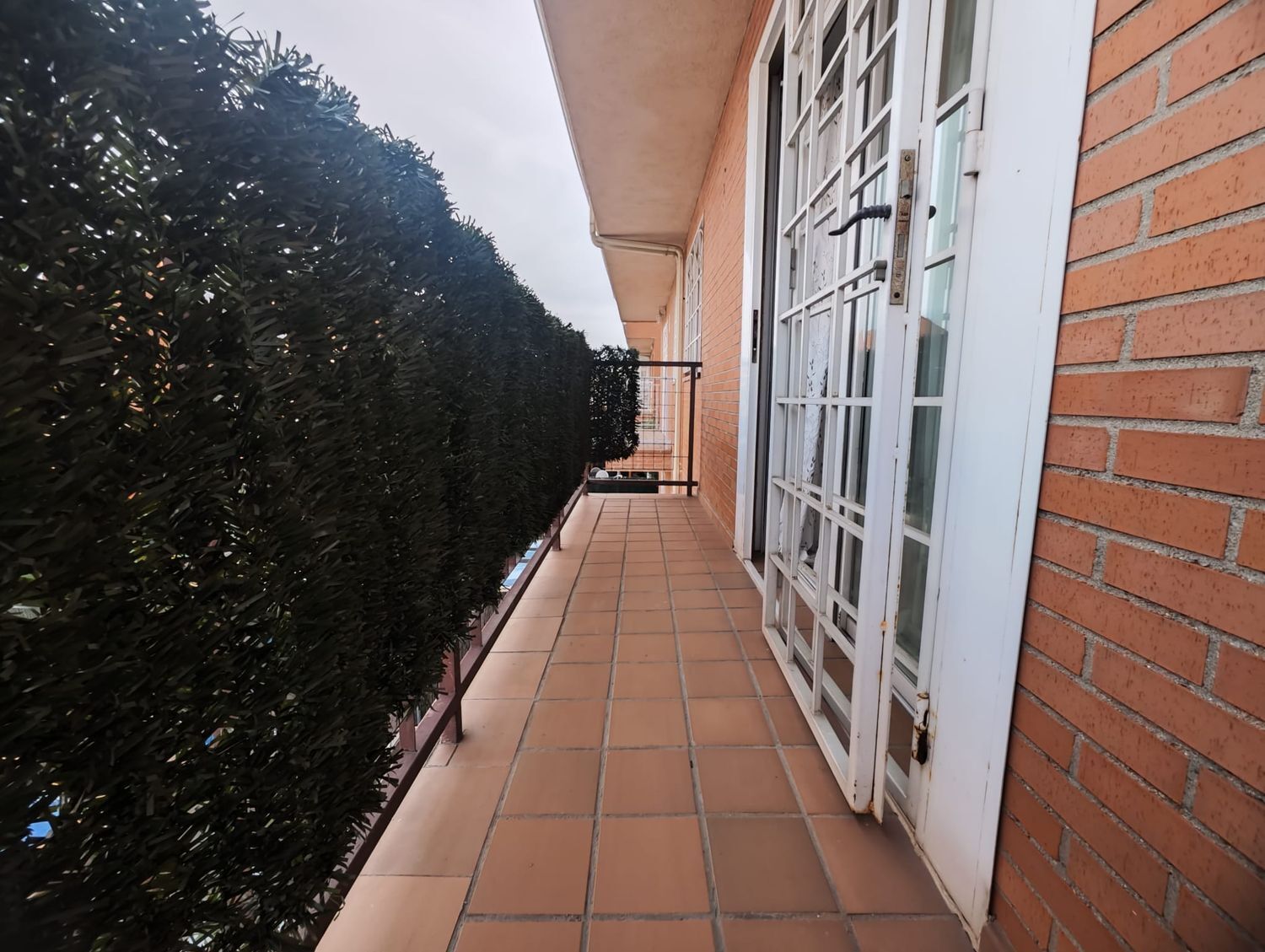 Casas o chalets-Venta-Velilla de San Antonio-2177130-Foto-44