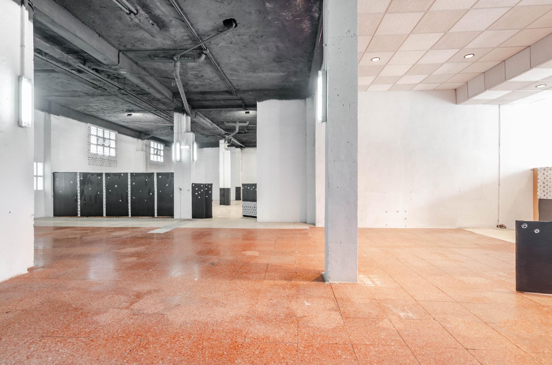 Negocios-Venta-Oviedo-2033150-Foto-10