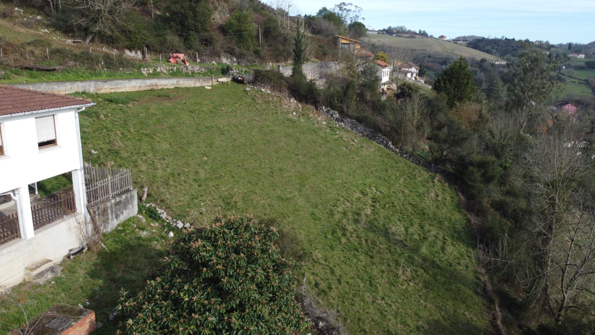 Fincas y solares-Venta-Oviedo-2015665-Foto-22