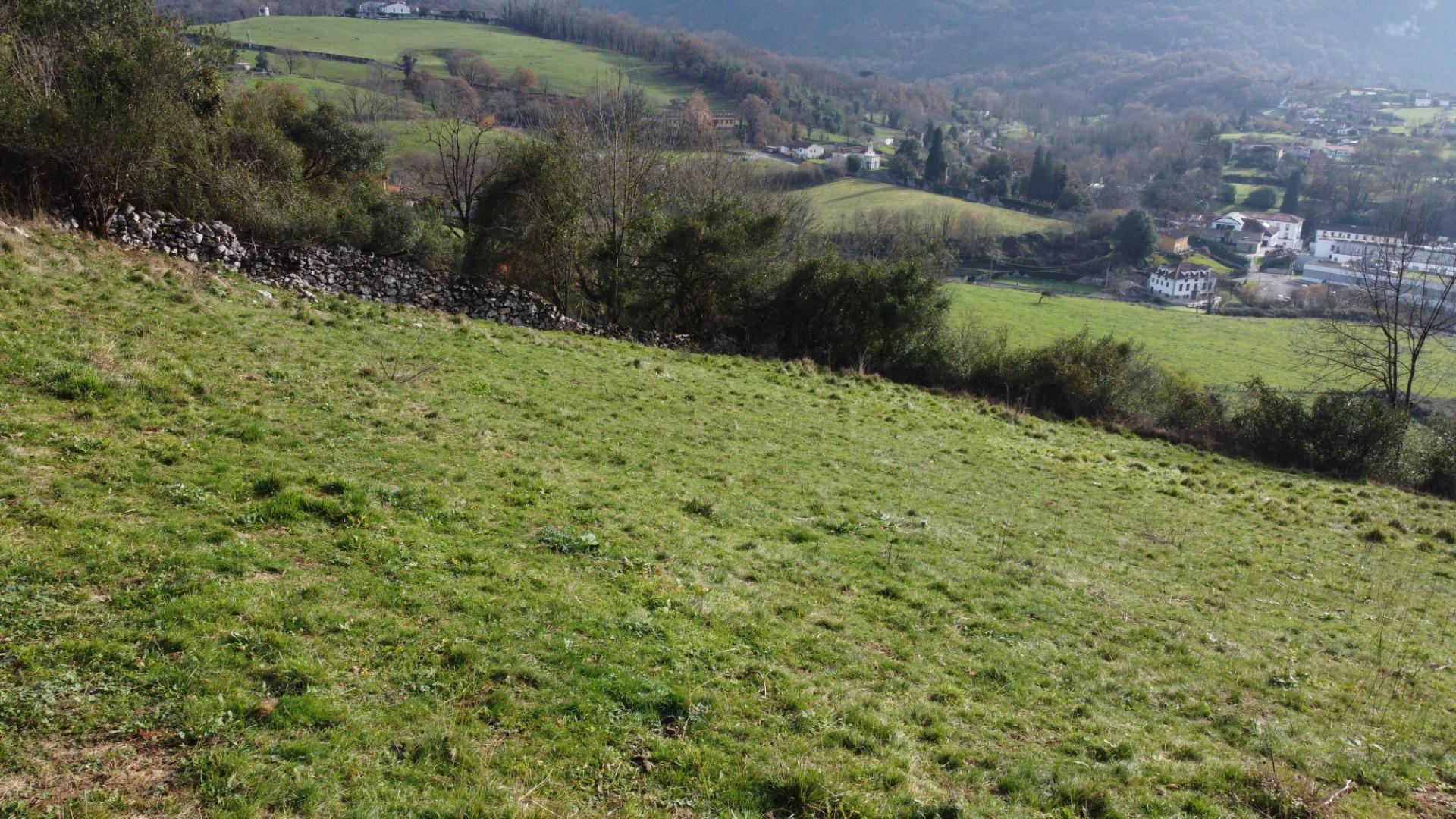 Fincas y solares-Venta-Oviedo-2015665-Foto-29