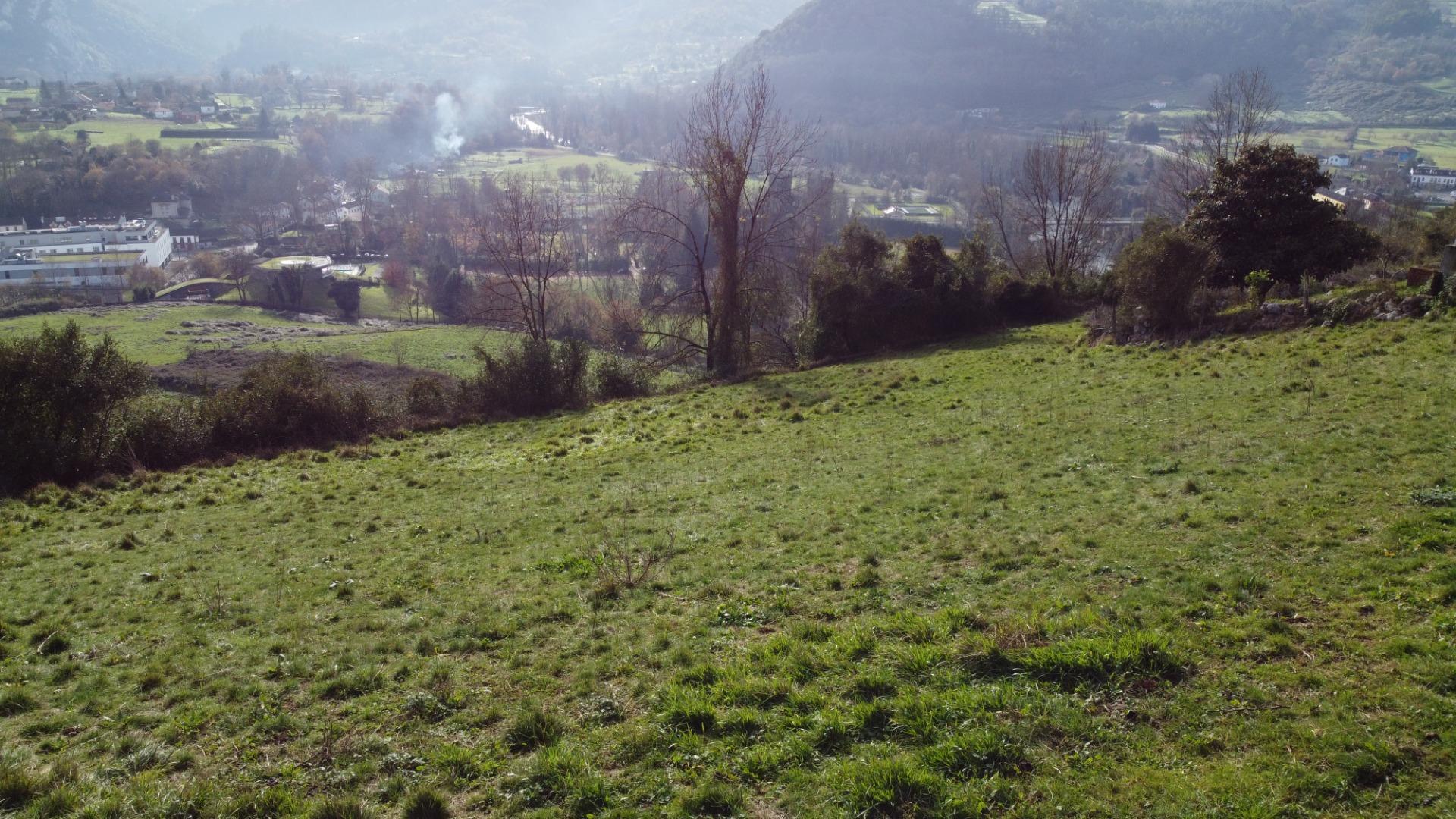 Fincas y solares-Venta-Oviedo-2015665-Foto-31