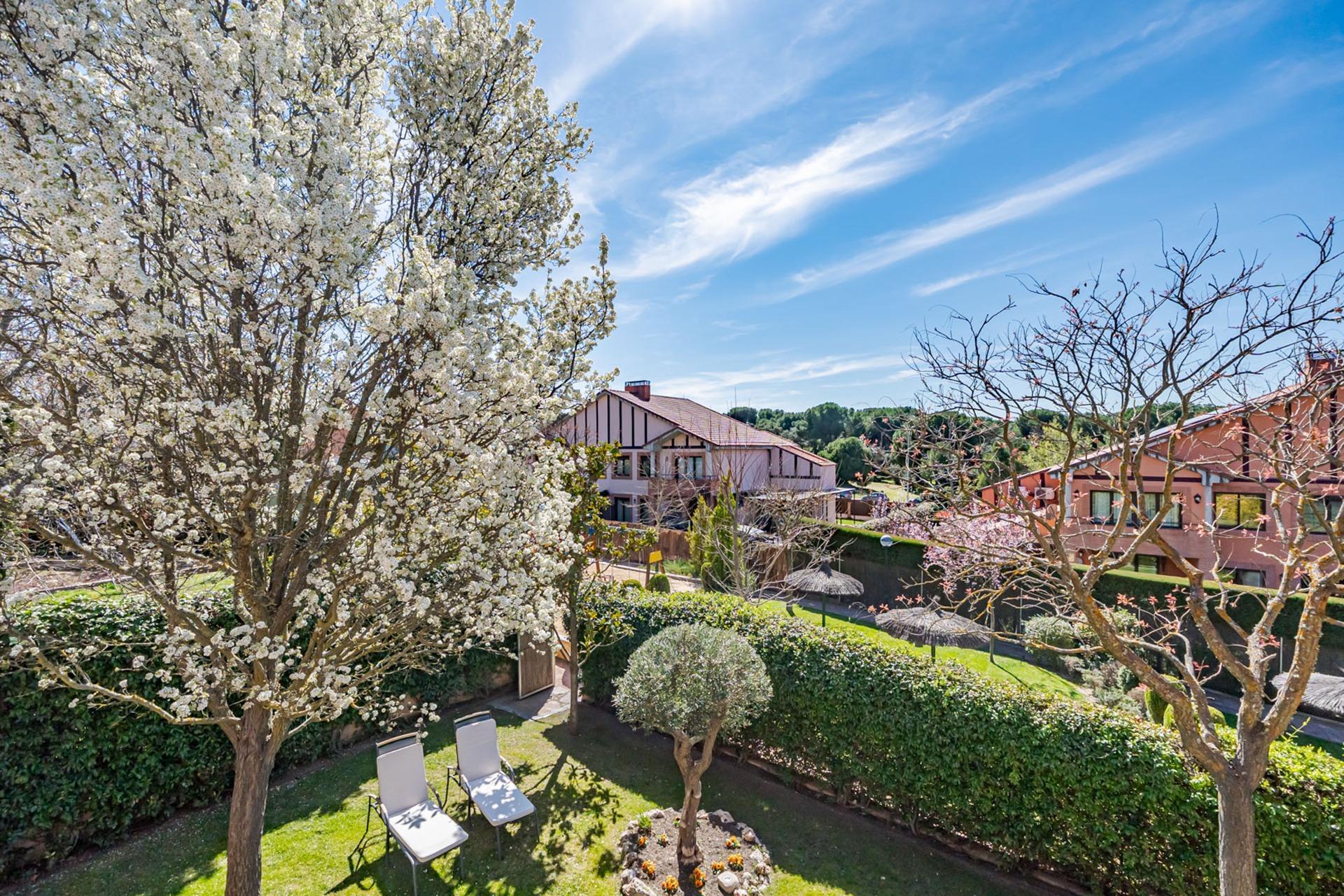 Casas o chalets-Venta-Pozuelo de AlarcÃ³n-2177181-Foto-22