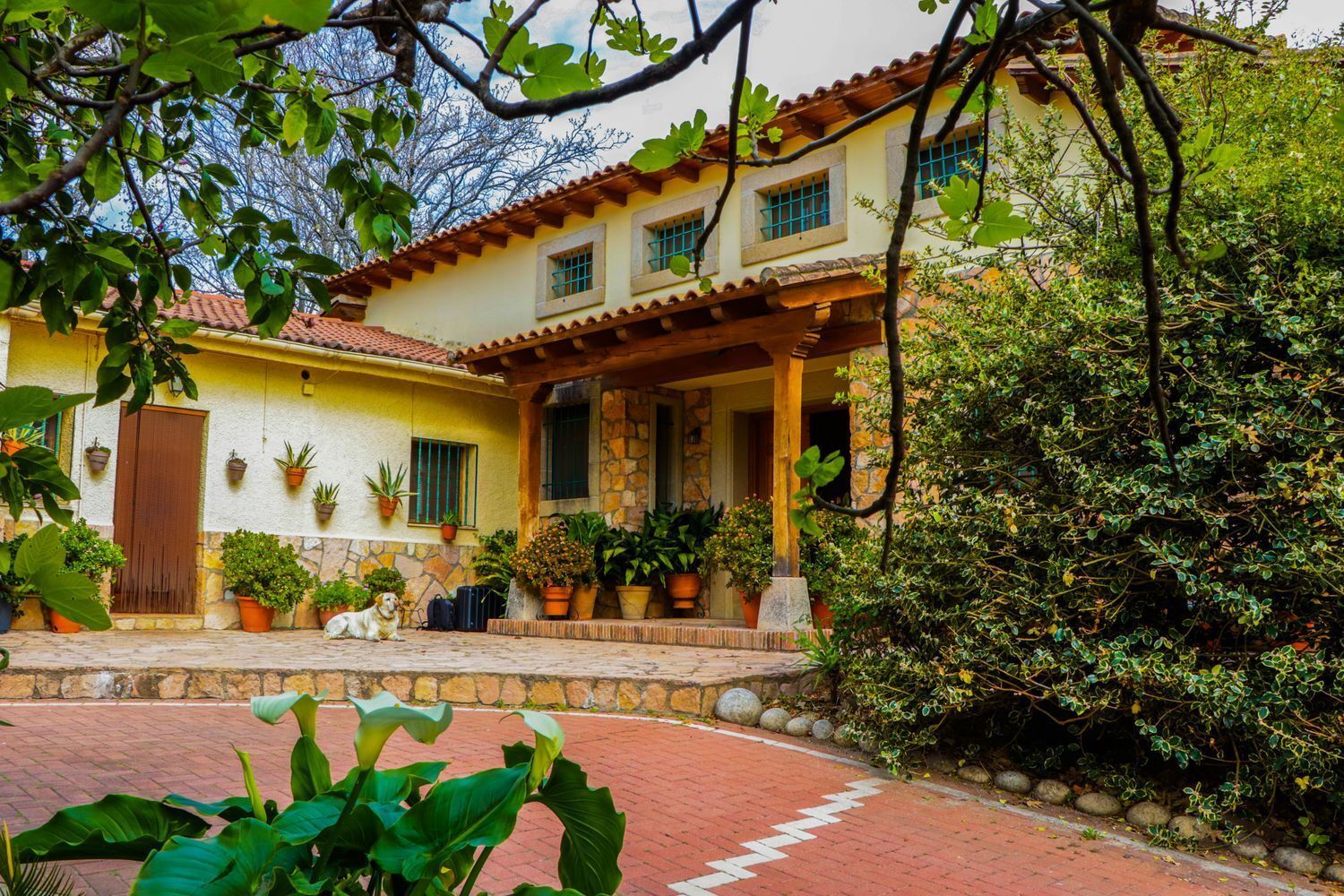 Pisos-Venta-Jarandilla de la Vera-1021033-Foto-10