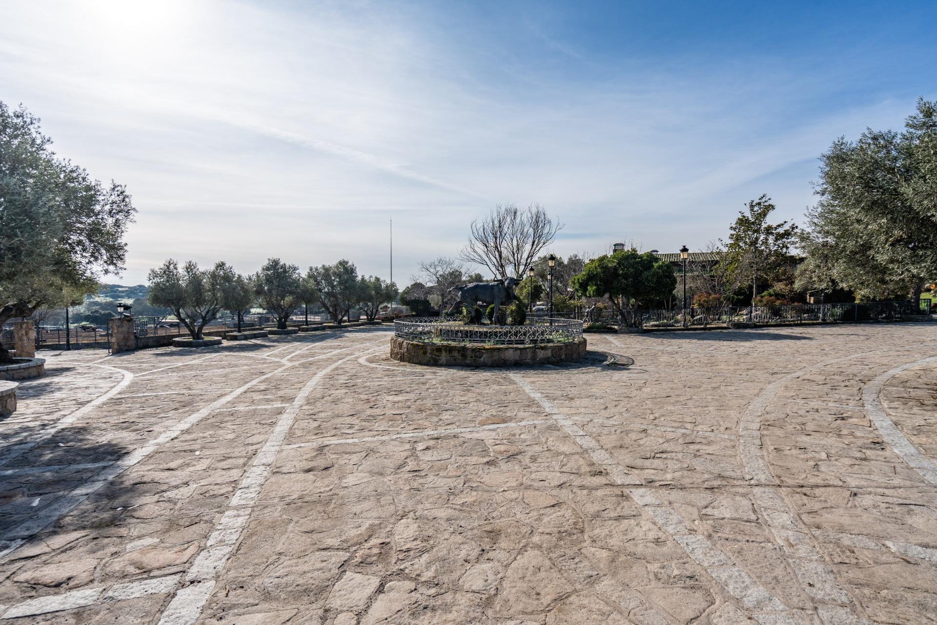 Fincas y solares-Venta-Robledo de Chavela-2173650-Foto-10