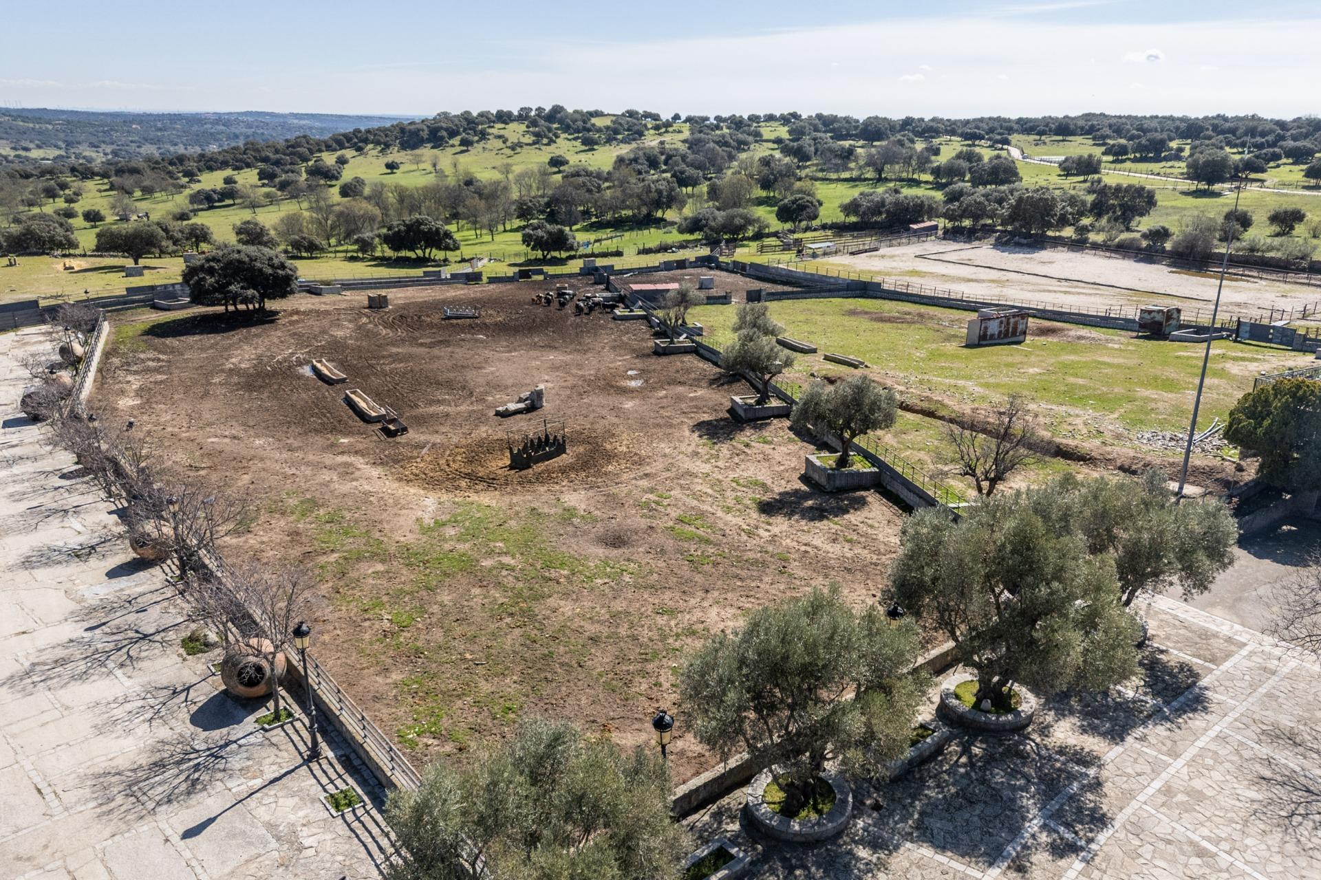 Fincas y solares-Venta-Robledo de Chavela-2173650-Foto-27