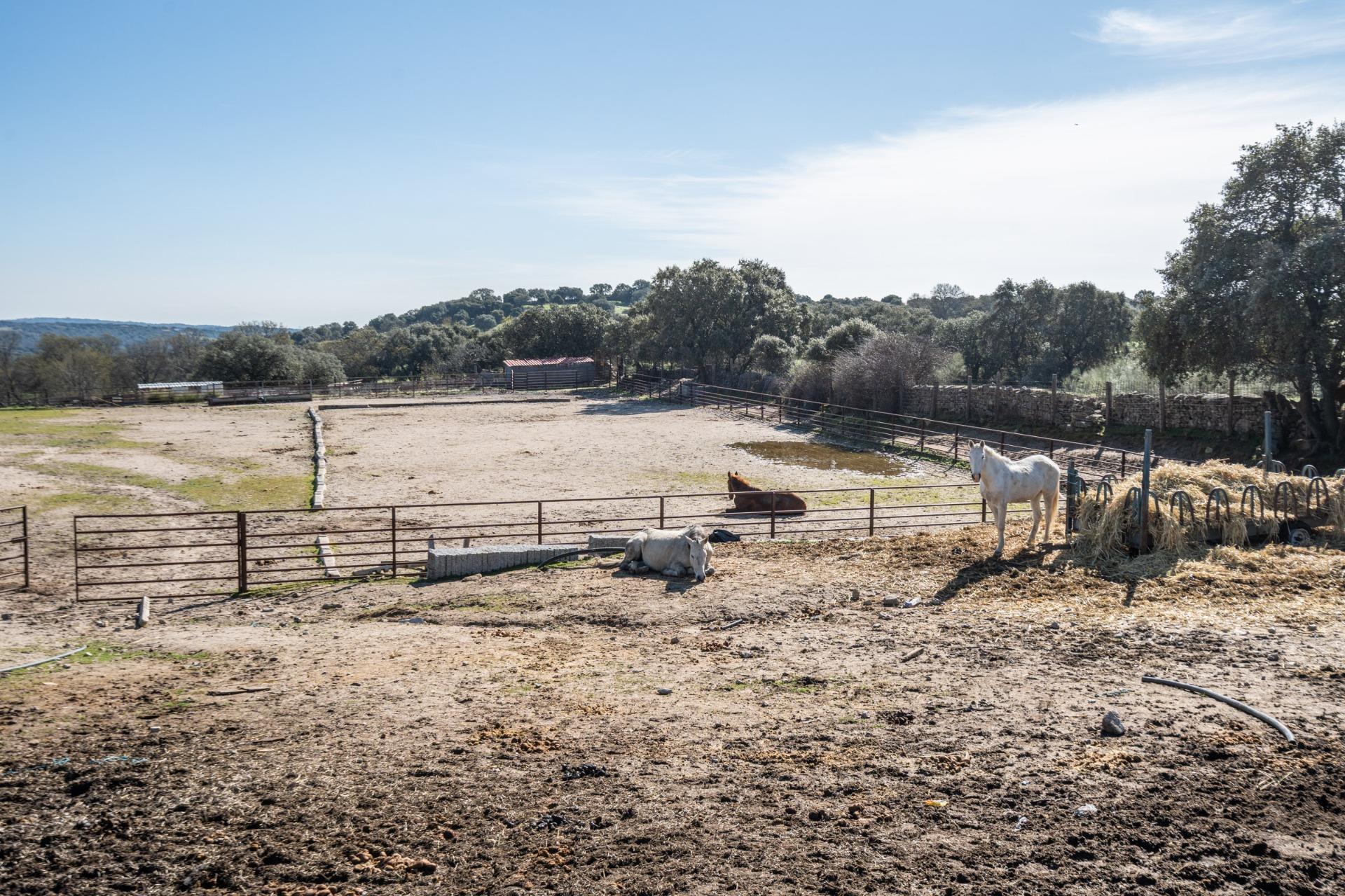 Fincas y solares-Venta-Robledo de Chavela-2173650-Foto-38