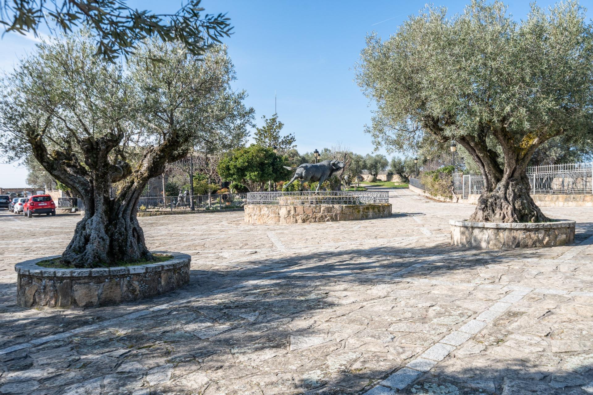 Fincas y solares-Venta-Robledo de Chavela-2173650-Foto-40