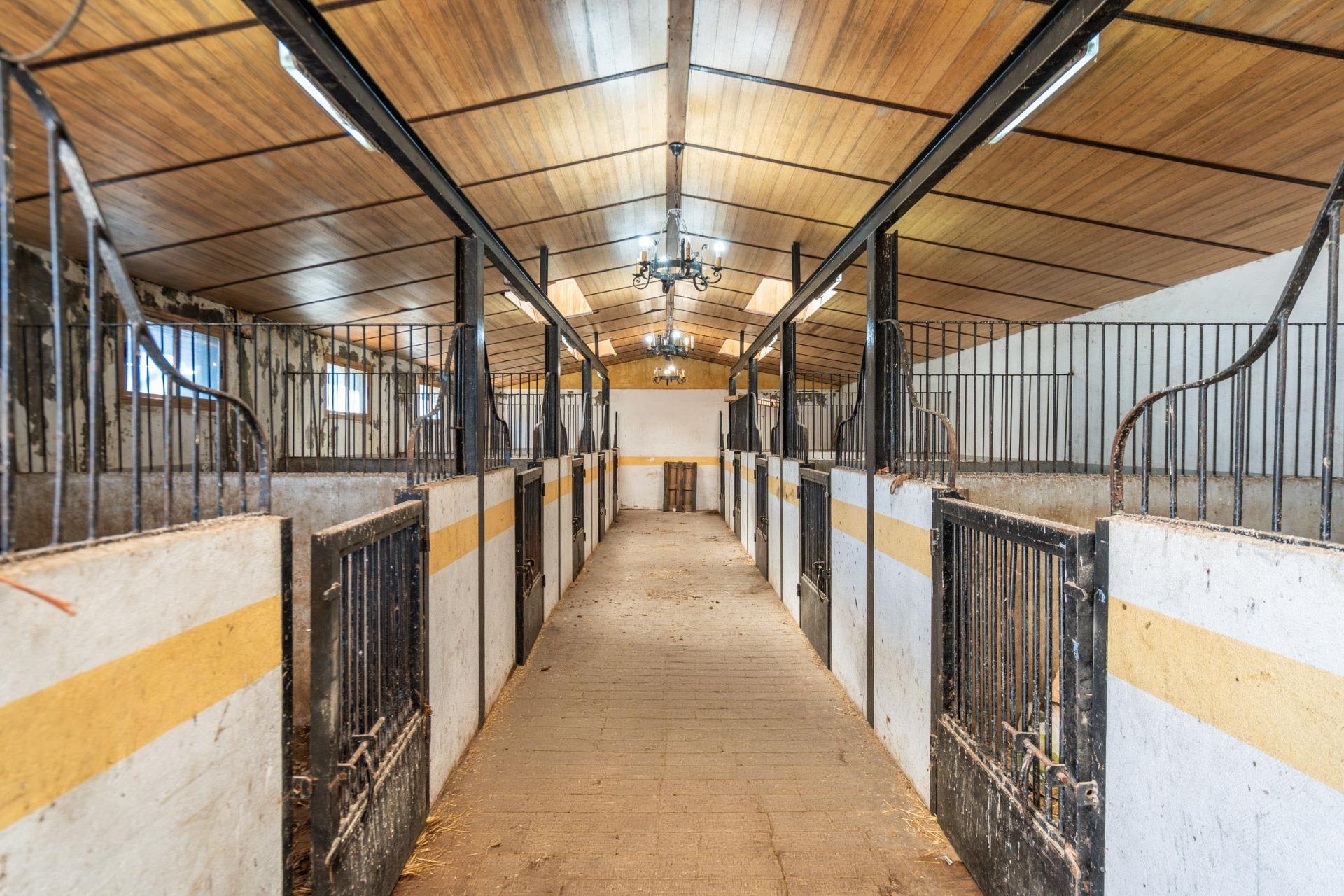 Fincas y solares-Venta-Robledo de Chavela-2173650-Foto-88