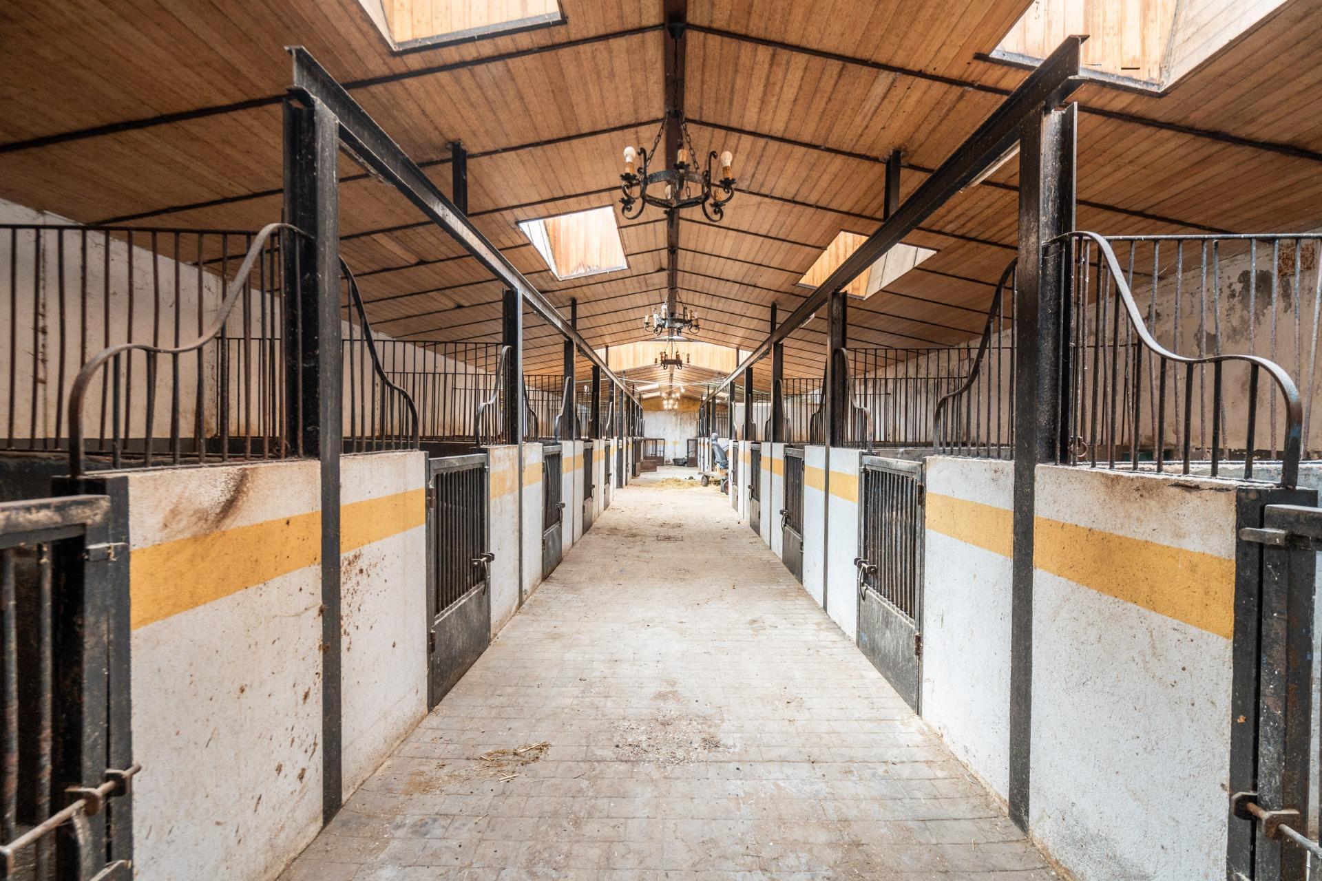 Fincas y solares-Venta-Robledo de Chavela-2173650-Foto-93