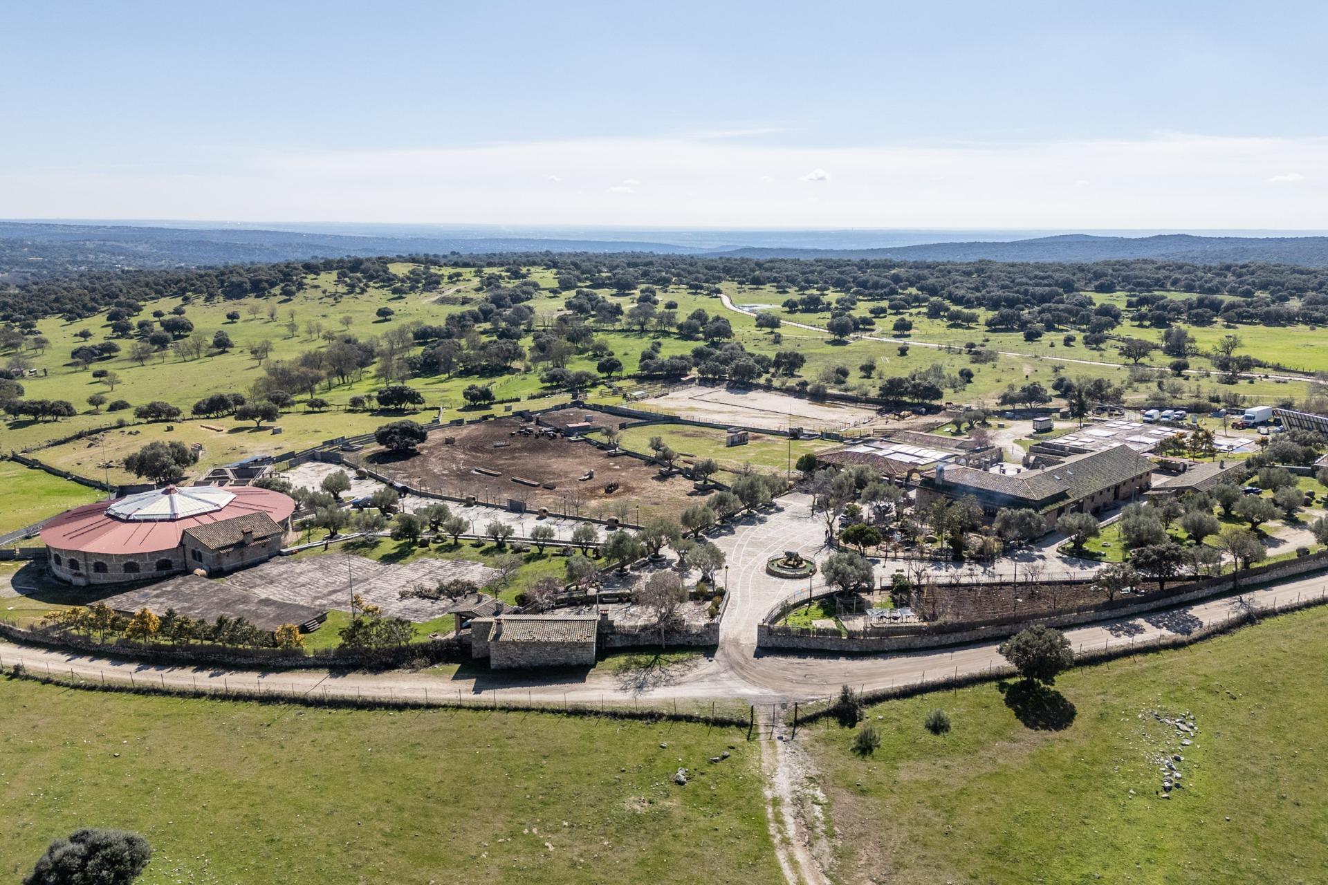 Fincas y solares-Venta-Robledo de Chavela-2173650-Foto-94