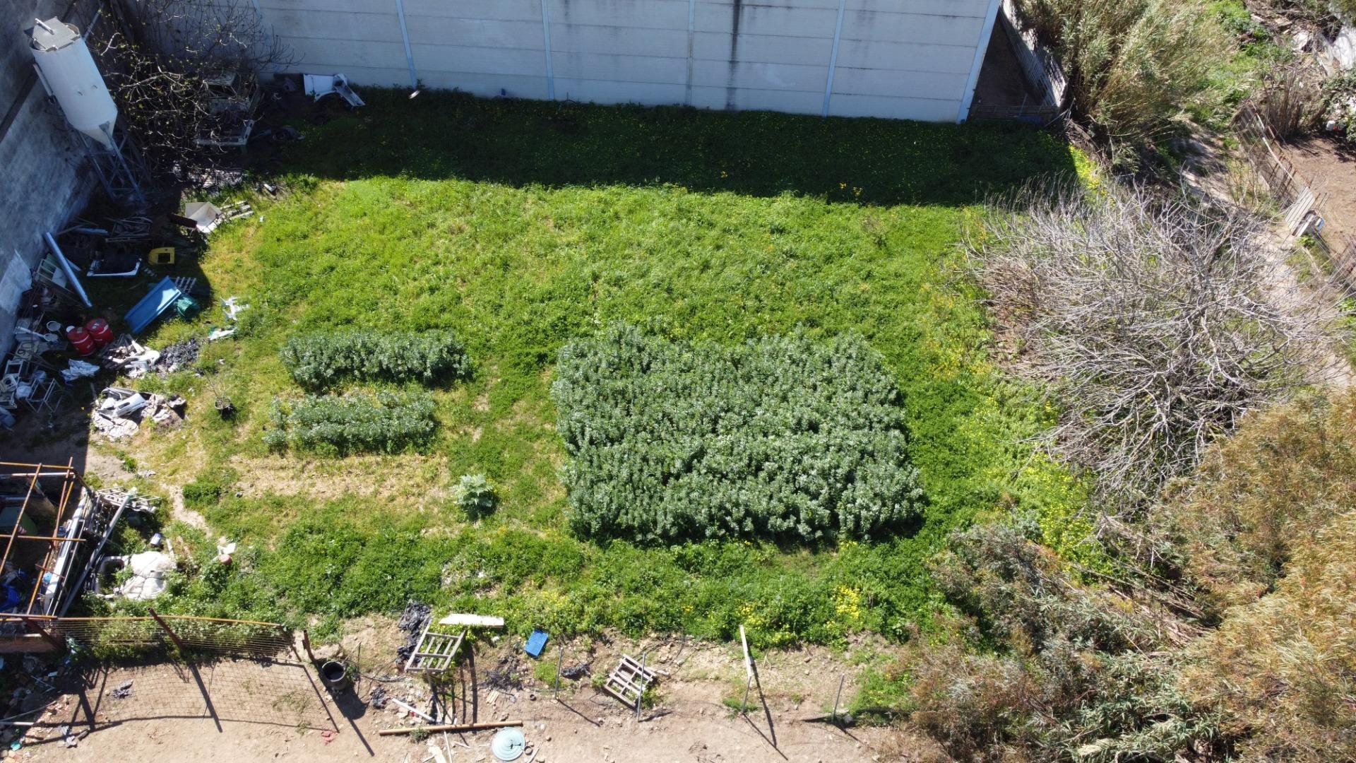 Fincas y solares-Venta-Huelva-2177190-Foto-22