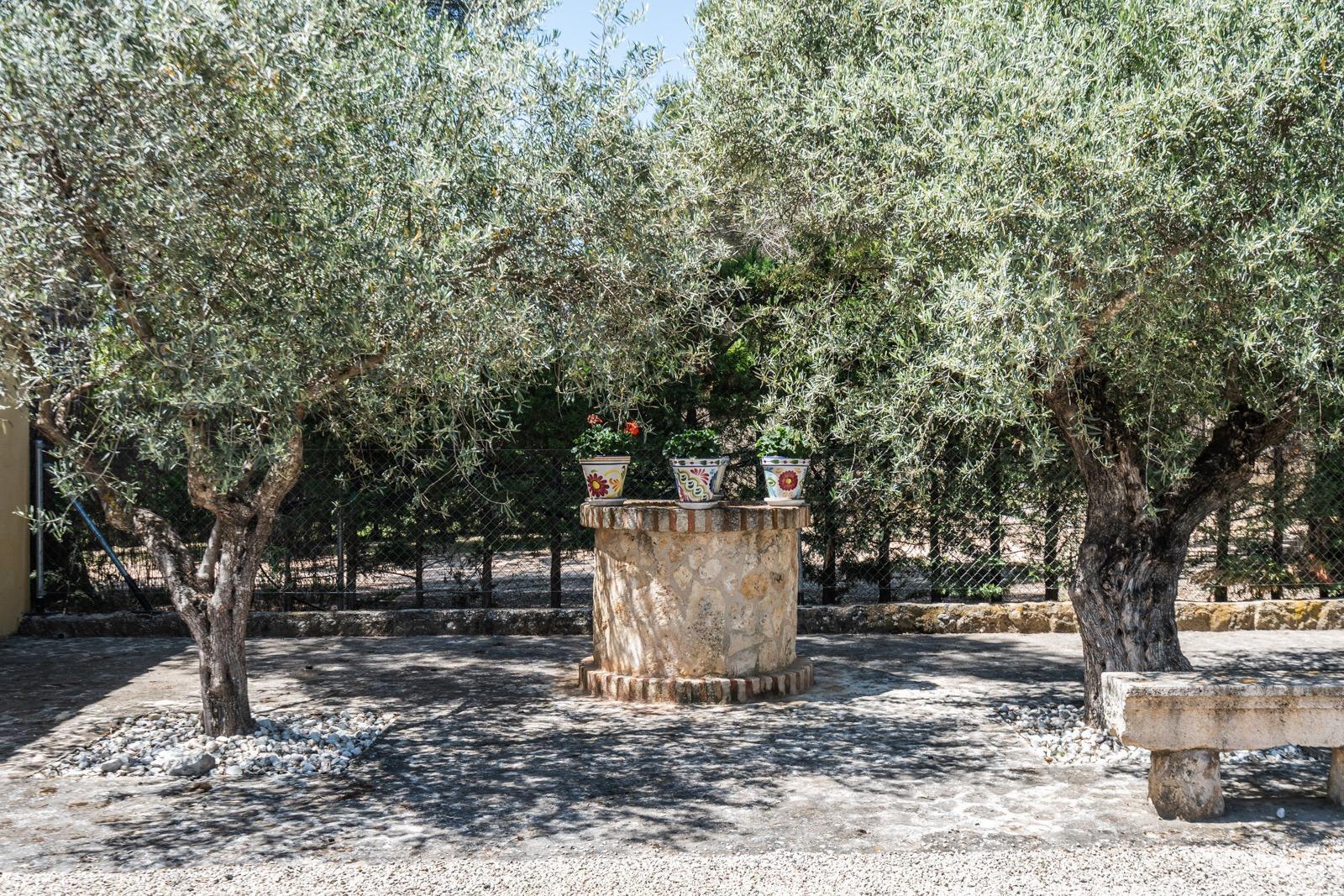 Pisos-Venta-ChinchÃ³n-1734244-Foto-64