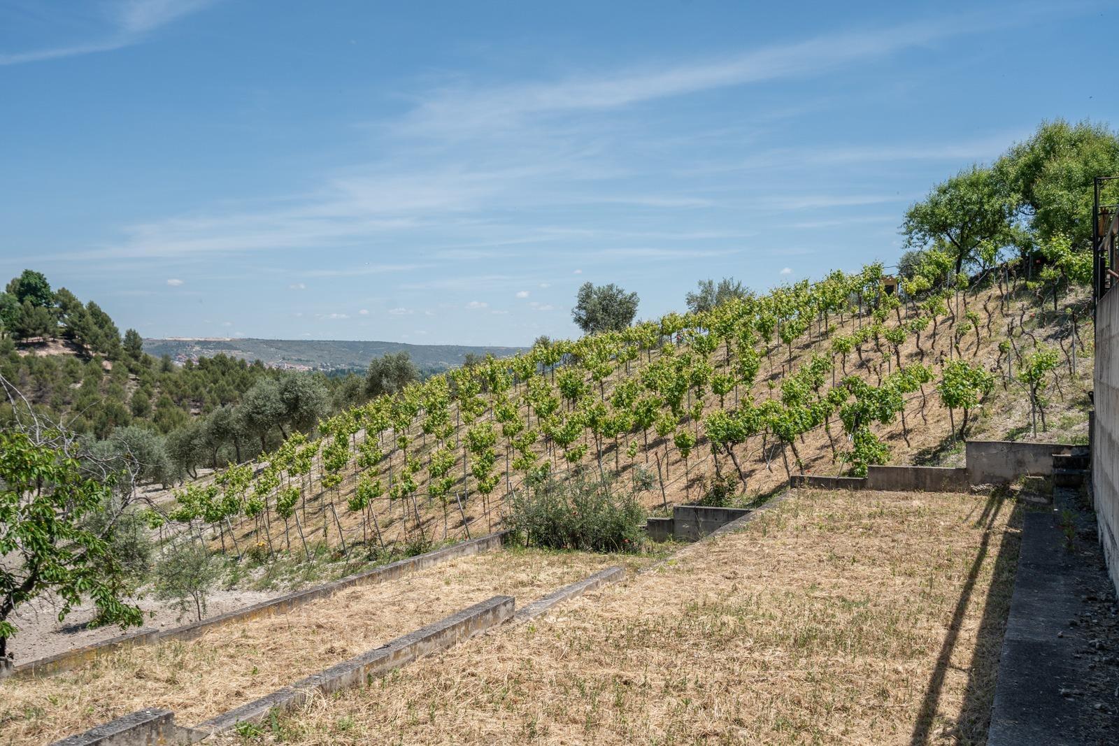 Pisos-Venta-ChinchÃ³n-1734244-Foto-81