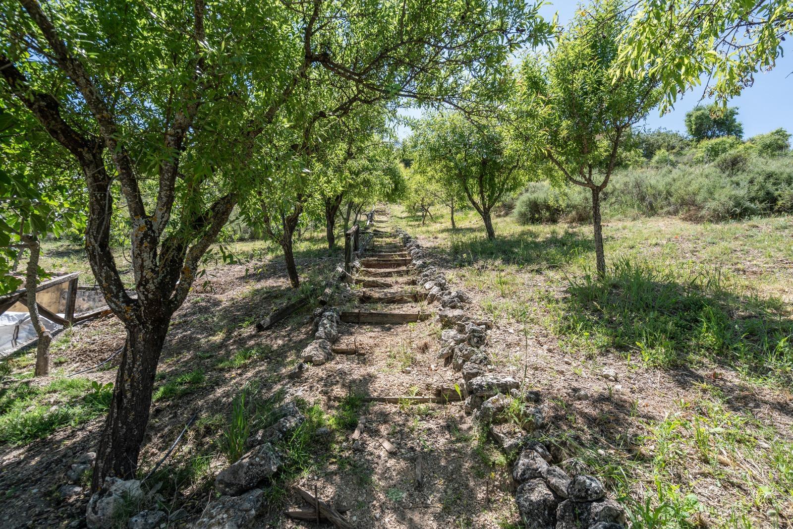 Pisos-Venta-ChinchÃ³n-1734244-Foto-80