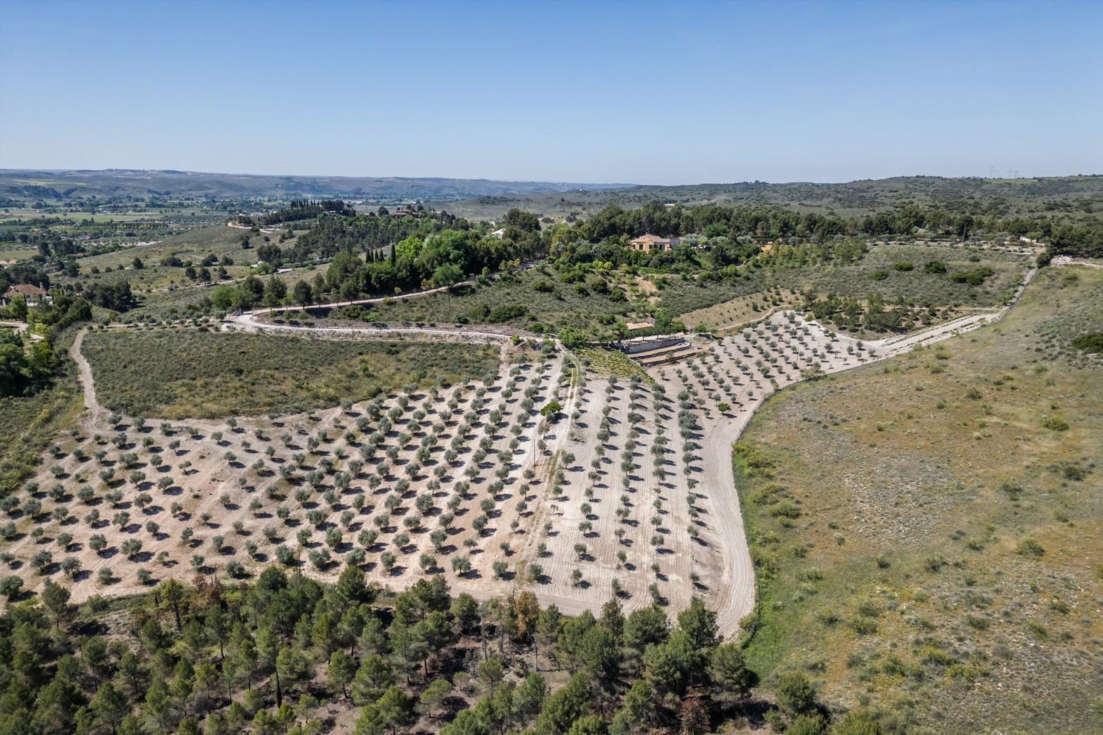 Pisos-Venta-ChinchÃ³n-1734244-Foto-90