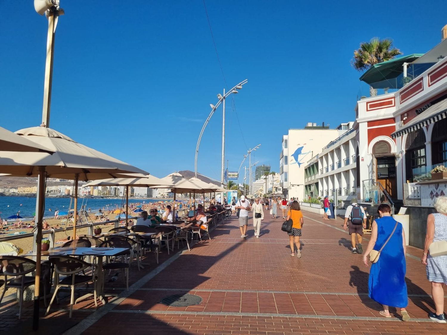 Pisos-Alquiler-Las Palmas de Gran Canaria-2177590-Foto-11