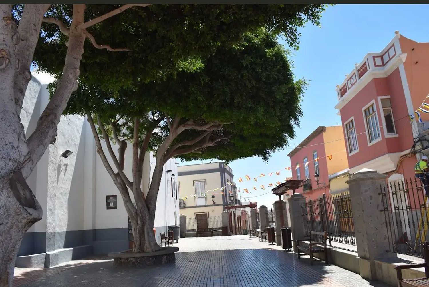 Fincas y solares-Venta-Ingenio-1974878-Foto-16