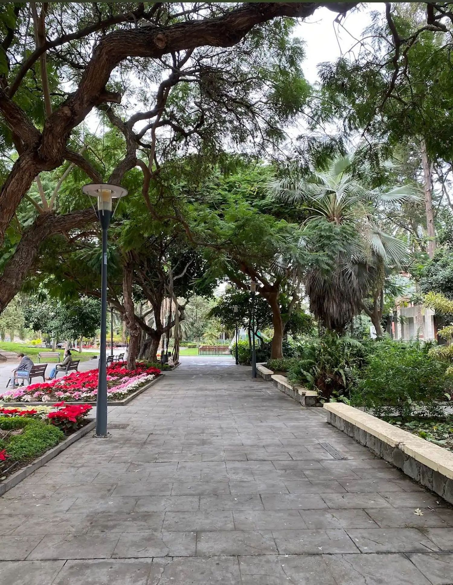 Fincas y solares-Venta-Ingenio-1974878-Foto-18