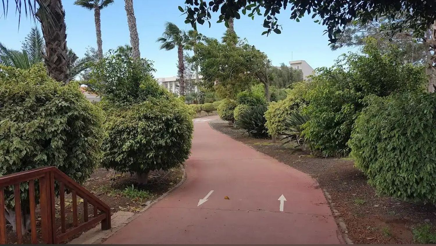 Fincas y solares-Venta-Ingenio-1974878-Foto-19