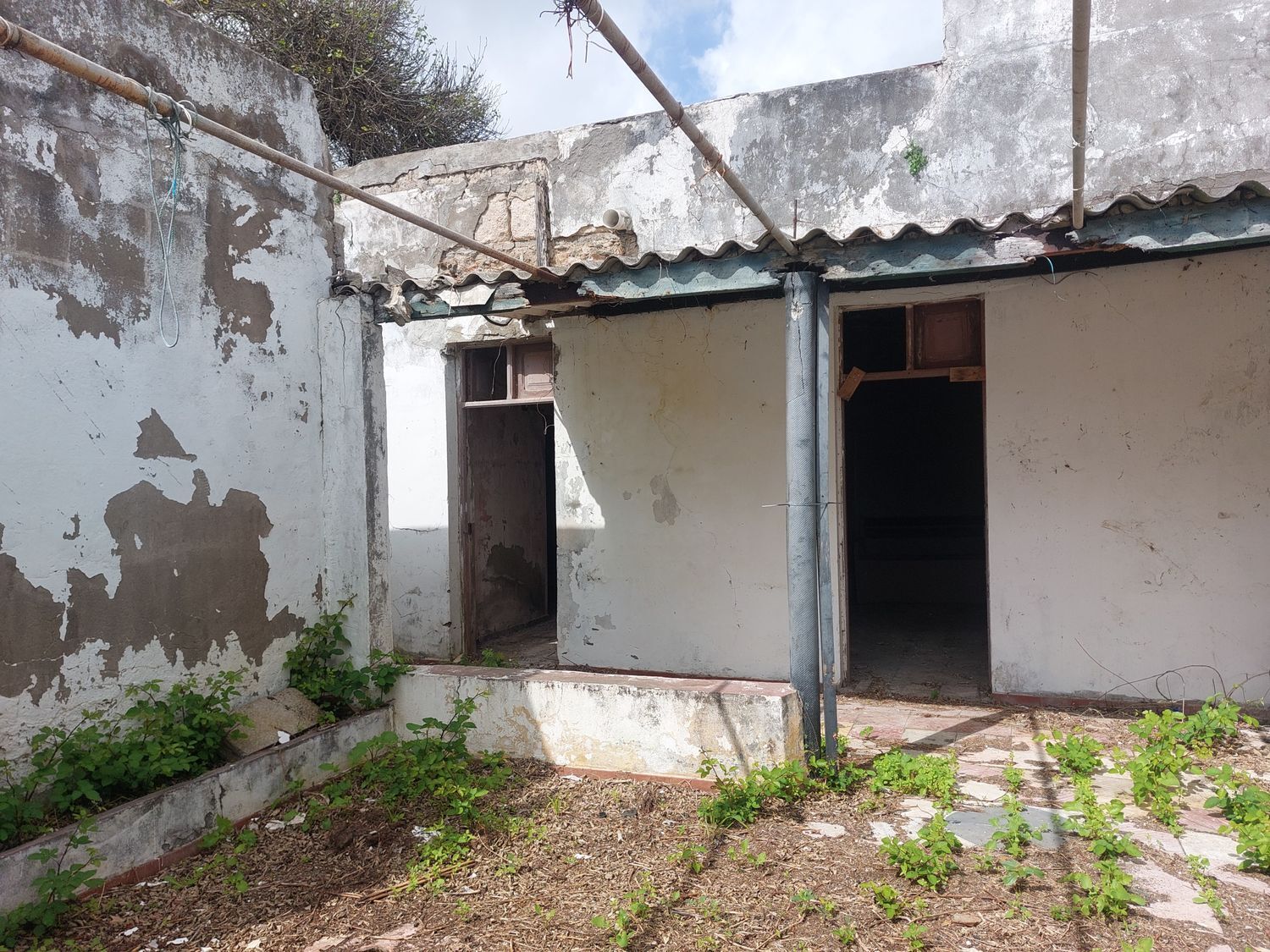 Casas o chalets-Venta-Arucas-440852-Foto-6