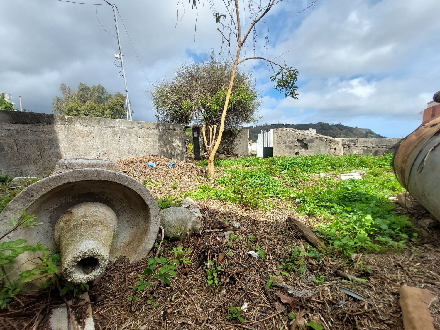 Casas o chalets-Venta-Arucas-440852-Foto-21