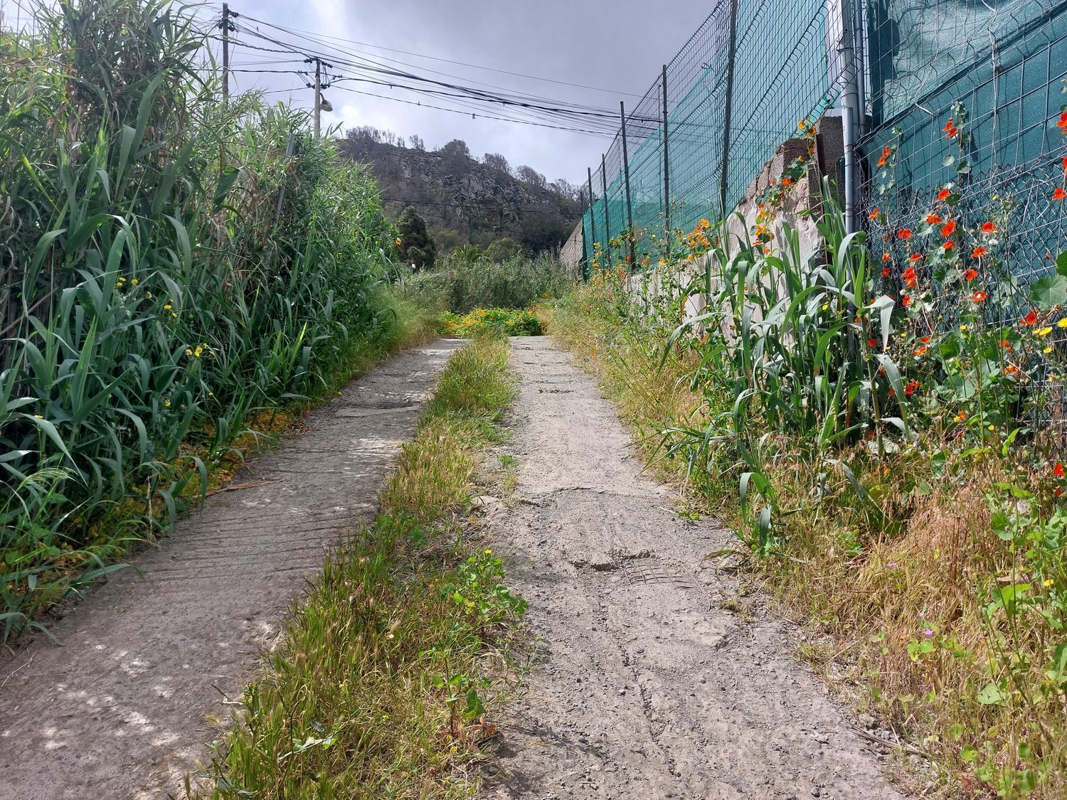 Casas o chalets-Venta-Arucas-440852-Foto-28