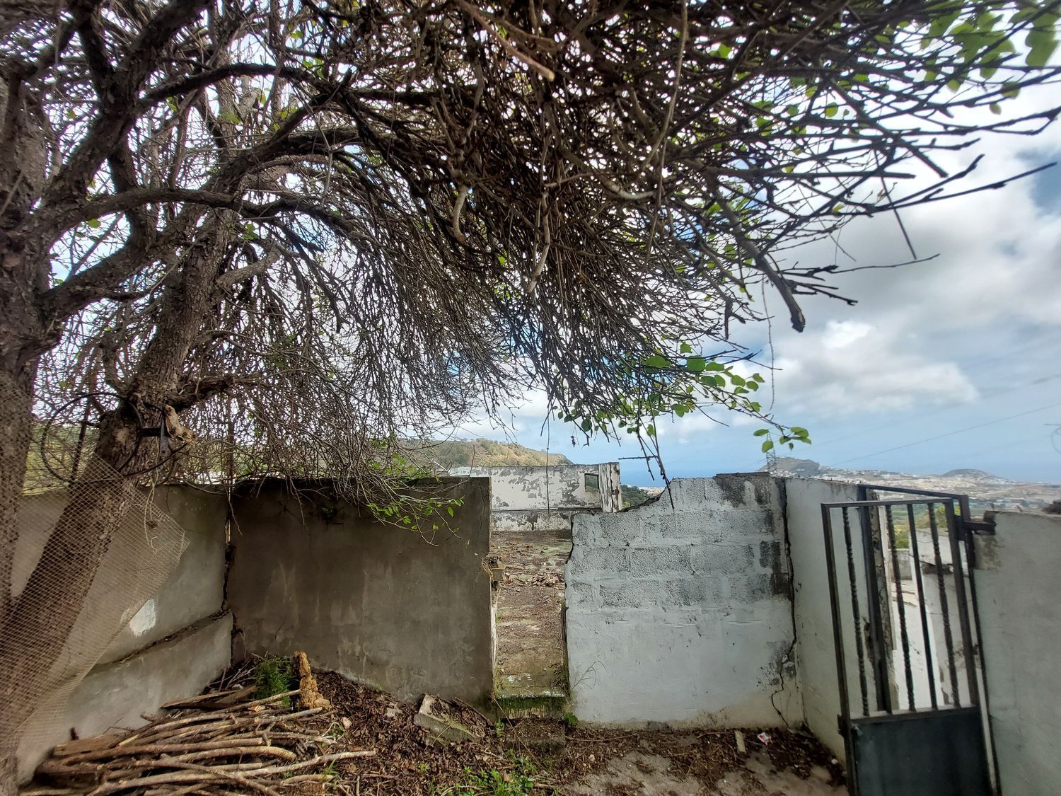 Casas o chalets-Venta-Arucas-440852-Foto-30