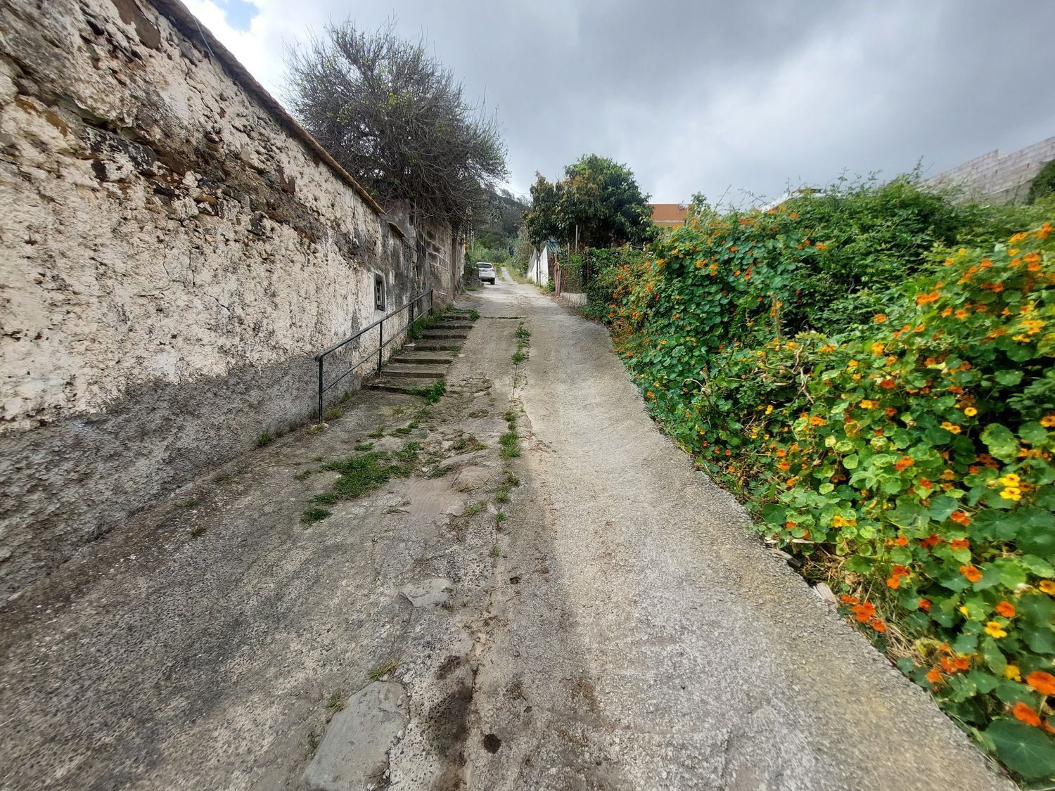 Casas o chalets-Venta-Arucas-440852-Foto-34