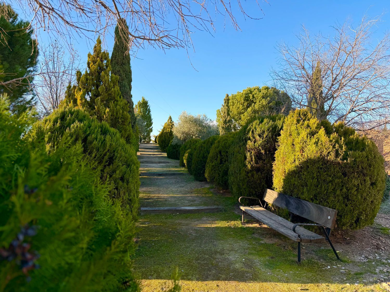 Casas o chalets-Venta-Toledo-2177605