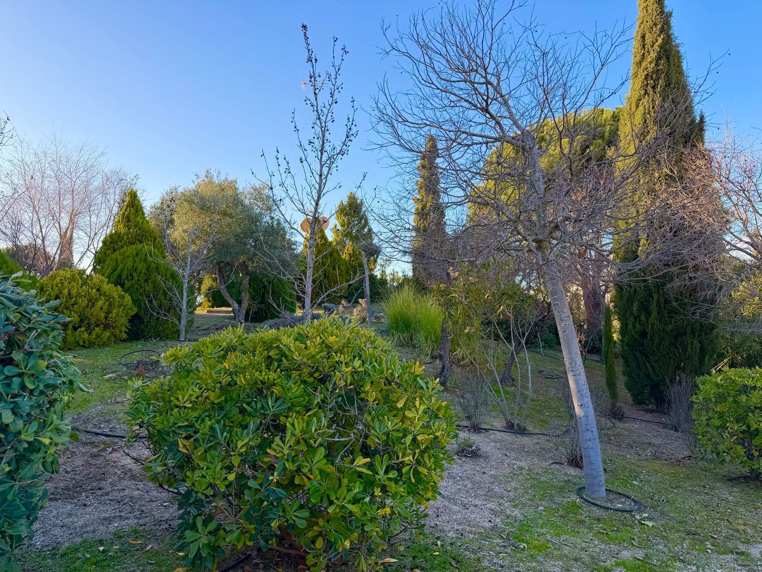 Casas o chalets-Venta-Toledo-2177605-Foto-9