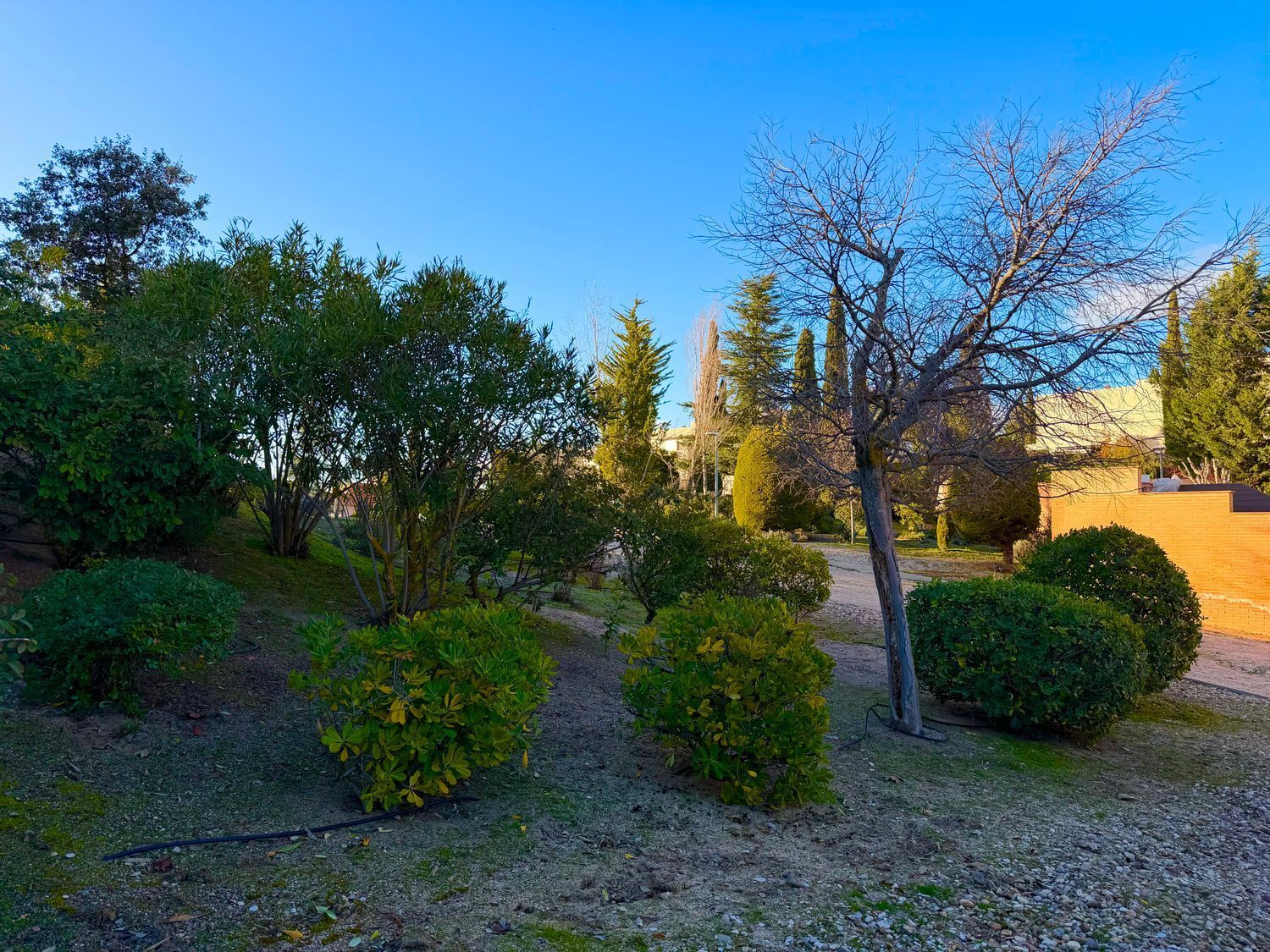 Casas o chalets-Venta-Toledo-2177605-Foto-13