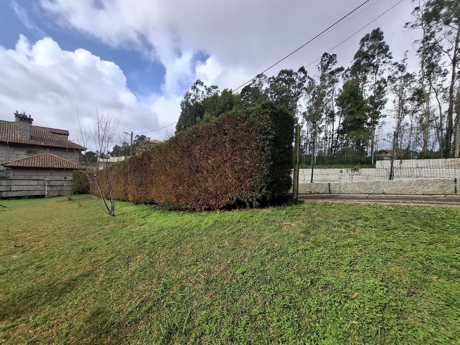 Fincas y solares-Venta-Vigo-2200119-Foto-4