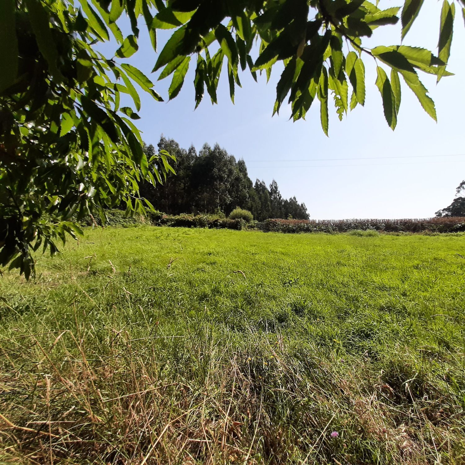 Casas o chalets-Venta-MaÃ±Ã³n-1835032-Foto-30