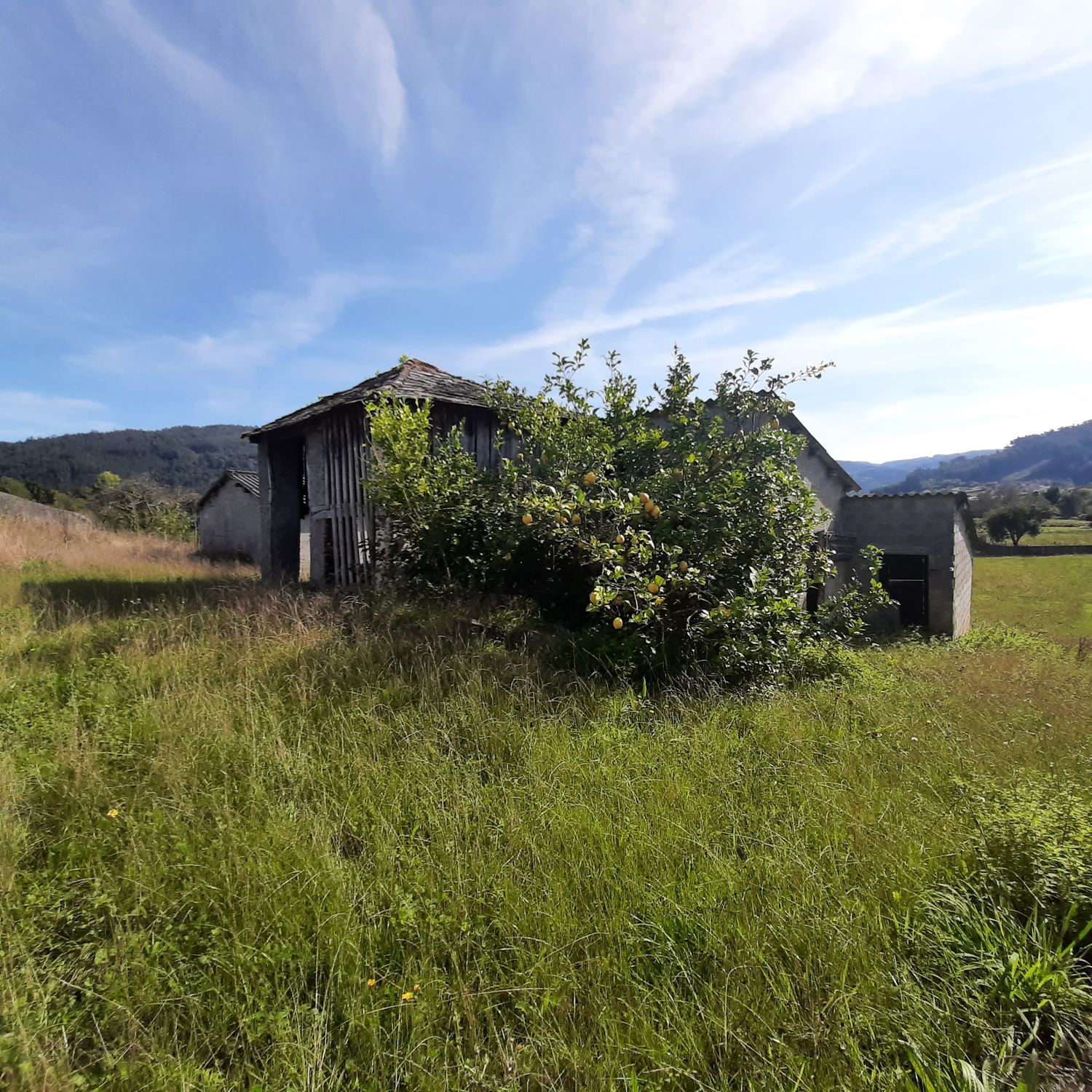 Casas o chalets-Venta-Viveiro-2063107-Foto-24