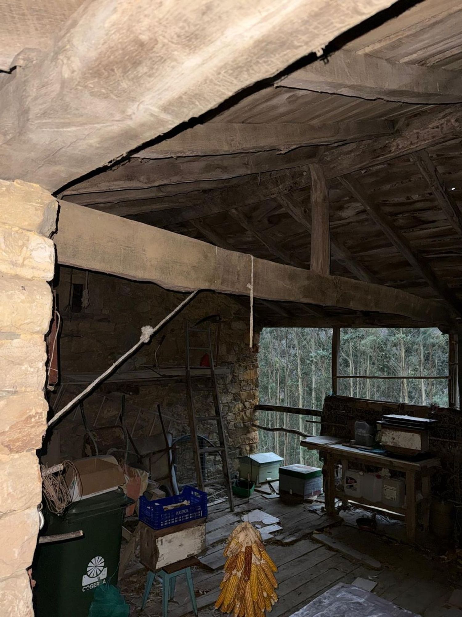 Casas o chalets-Venta-ValdÃ©s-2092385-Foto-3