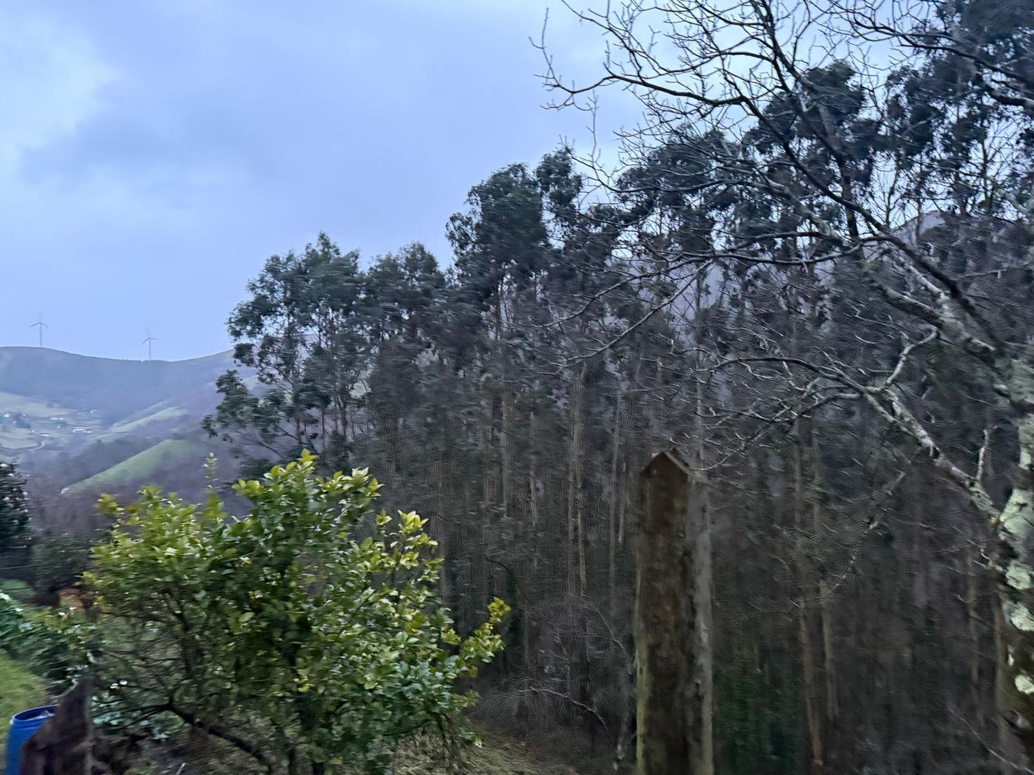 Casas o chalets-Venta-ValdÃ©s-2092385-Foto-14