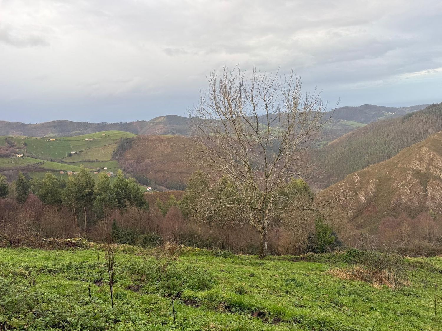 Casas o chalets-Venta-ValdÃ©s-2092385-Foto-20