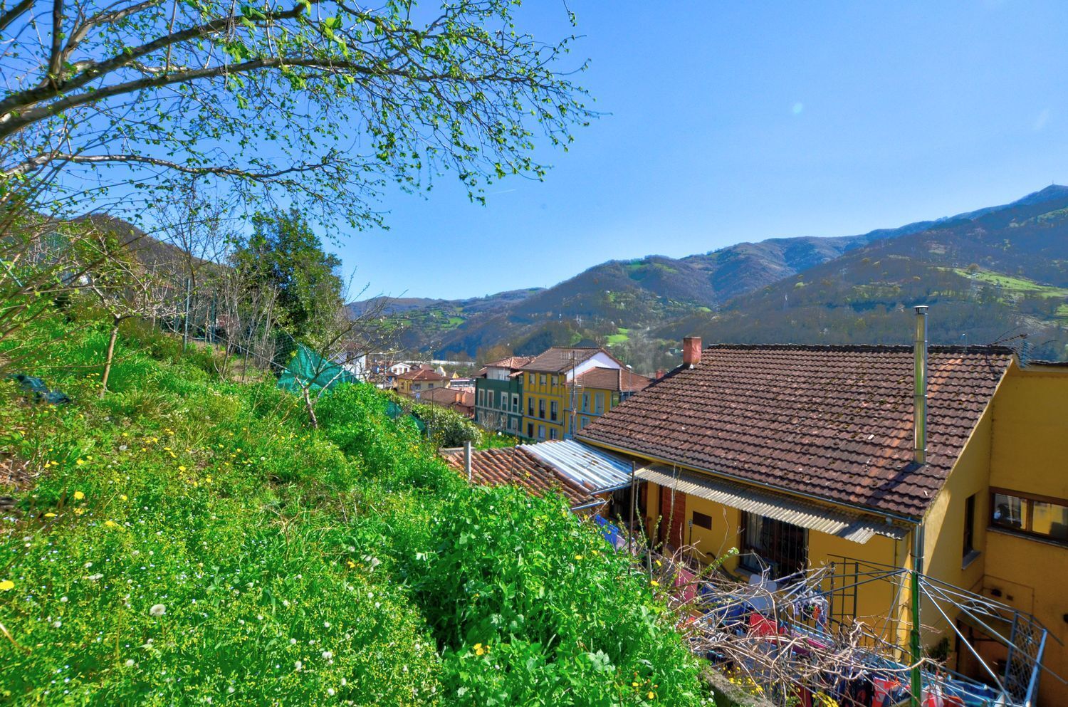 Casas o chalets-Venta-Villena-2177148-Foto-24